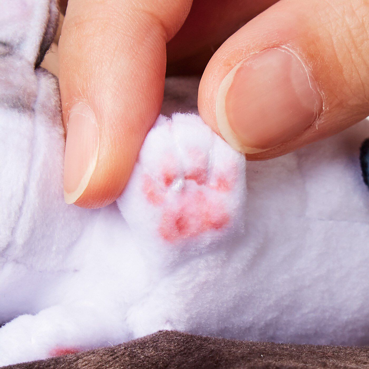 猫部|子猫がかくれんぼする　ボックスティッシュカバー|ムニムニ肉球がたまらない♪
