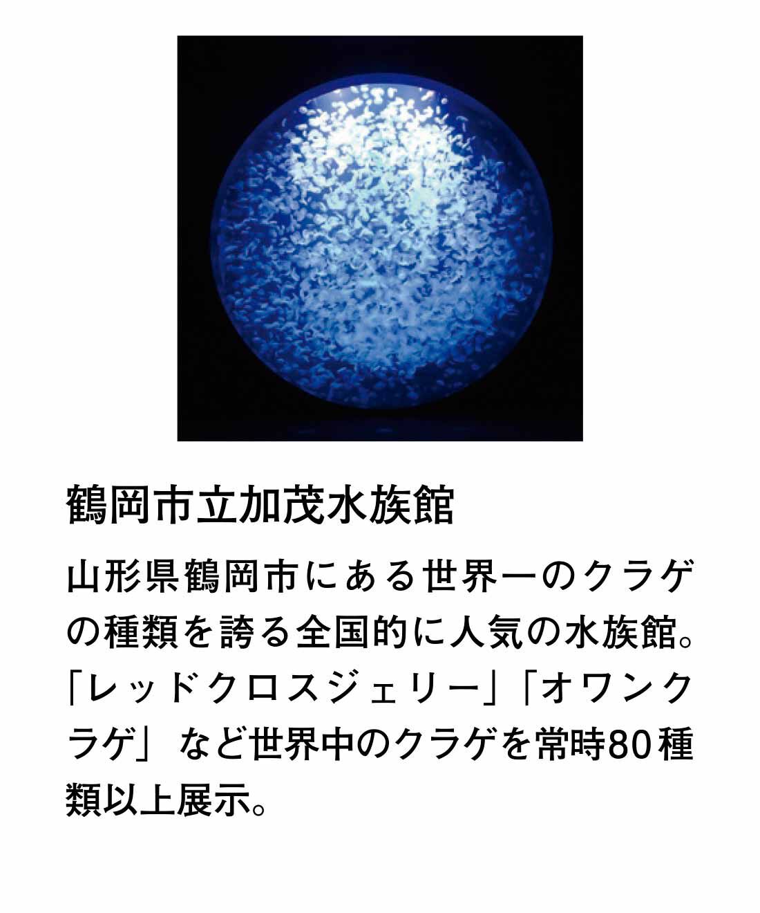 YOU+MORE!|【2026年5月分お届け】青空を泳ぐ ミズクラゲの日傘〈晴雨兼用〉