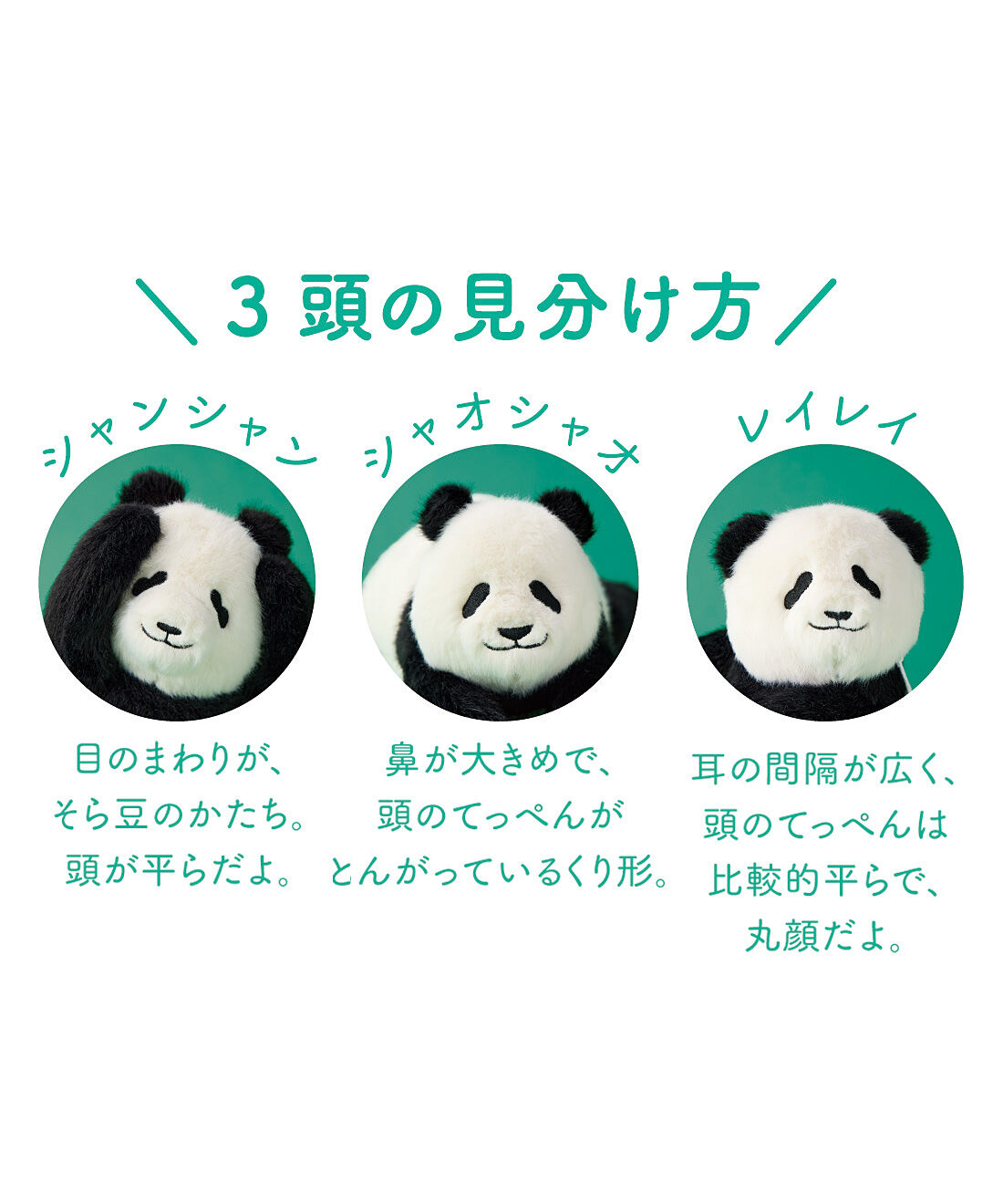 YOU+MORE!|YOU＋MORE!　パンダ３きょうだい　シャンシャン・シャオシャオ・レイレイののんびりポーチの会