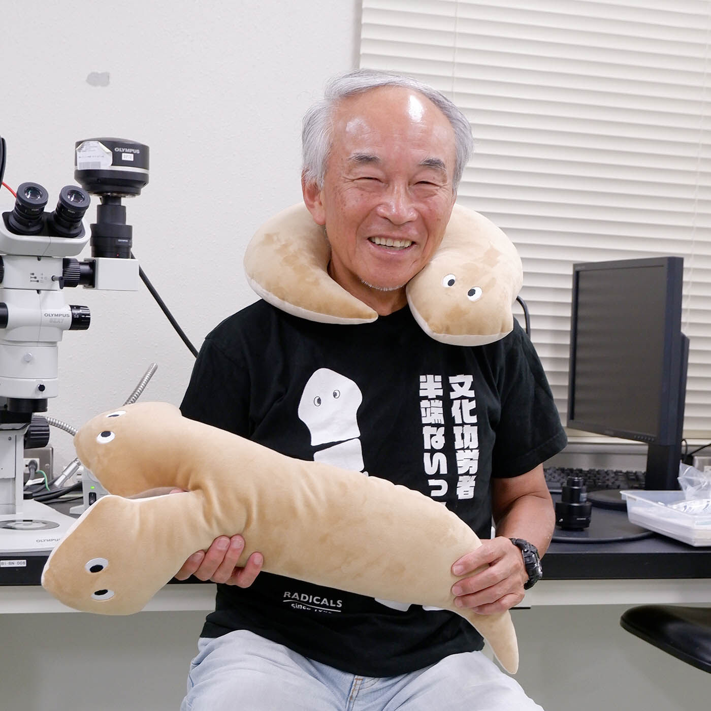 YOU＋MORE！［ユーモア］|YOU＋MORE!　３つに分裂　プラナリアの再生ポーチ|基礎生物学研究所　阿形清和所長
