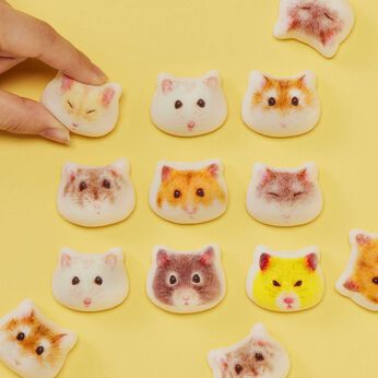 YOU+MORE! | ミニ和風マシュマロハムスターほうずい１５個