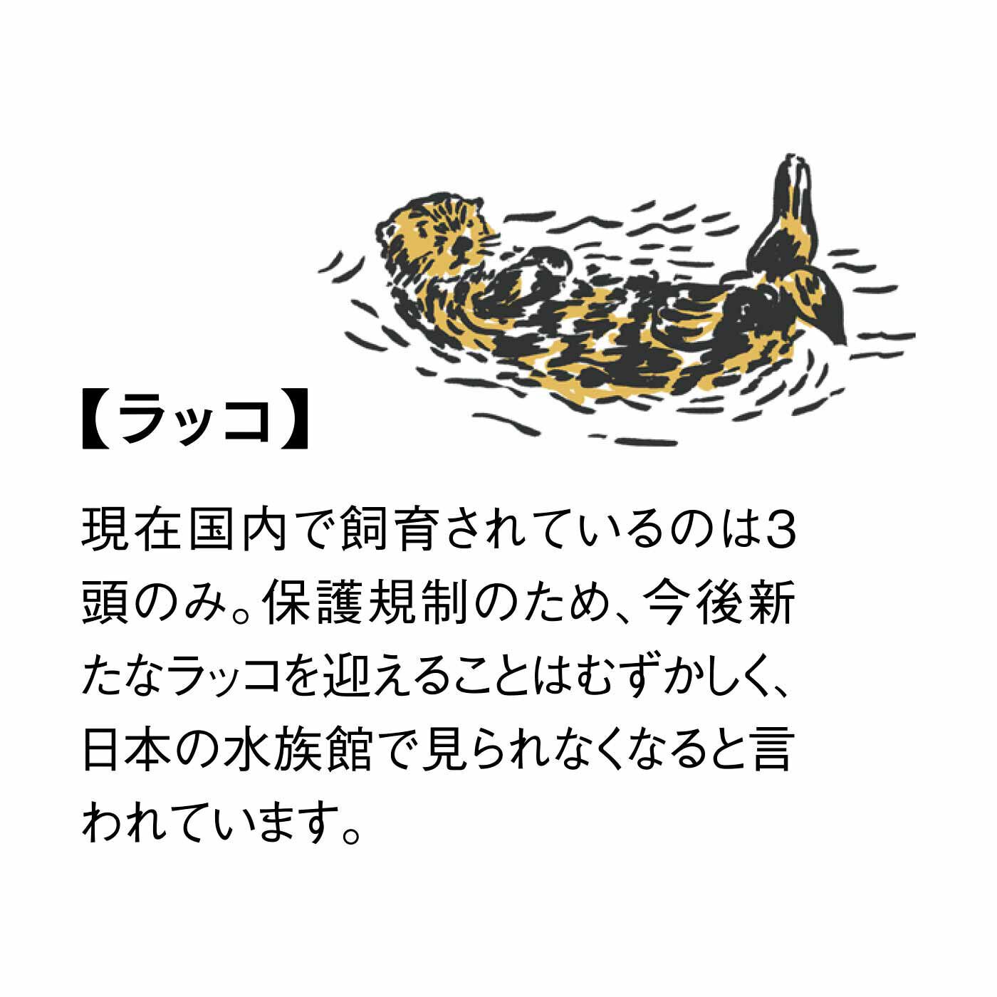 YOU+MORE!|YOU＋MORE!　ほっぺに手がぴとっ！ 抱っこラッコ