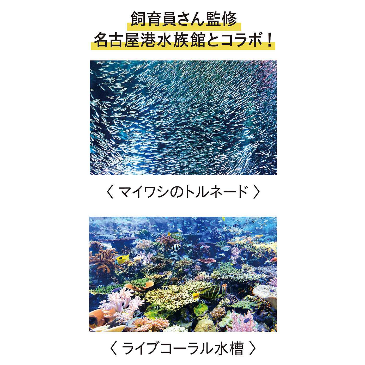 YOU+MORE!|YOU＋MORE!　まるで水族館　イワシトルネードの透明傘|約500種50，000点の生物を展示する日本最大級の名古屋港水族館。「北館」では、イルカやシャチ、ベルーガなど鯨類を紹介し、「南館」では南極への旅をテーマに、日本から南極までの5つの地域に住む生き物を紹介しています。イルカパフォーマンスやマイワシのトルネードなどイベントも盛りだくさんです。