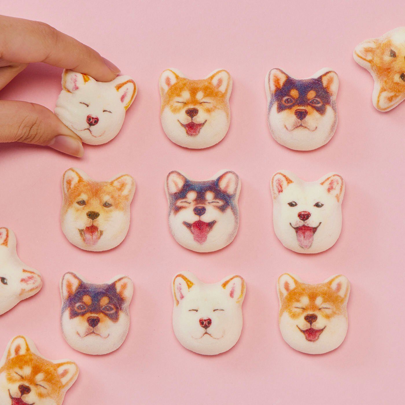 YOU+MORE!|YOU+MORE!　食べられないかわいさミニ和風マシュマロ柴犬ほうずい〈チョコ餡〉15個入り