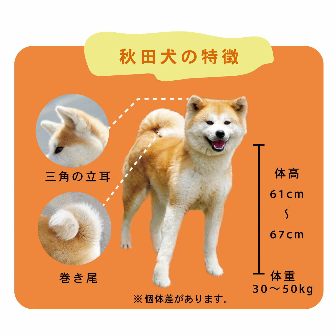 YOU+MORE!|YOU+MORE！ 食べられないかわいさ ミニ和風マシュマロ 秋田犬ほうずい〈チョコ餡〉