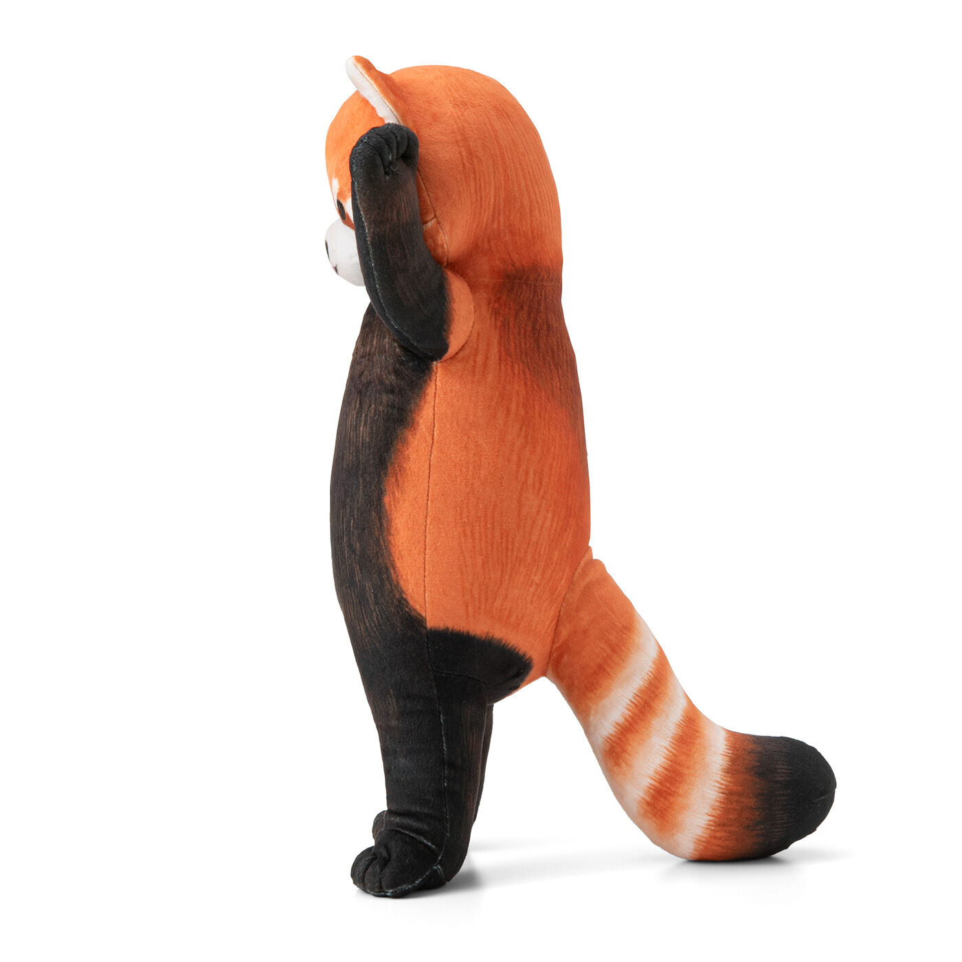 YOU+MORE!|YOU+MORE!　レッサーパンダに威嚇される お昼寝クッション