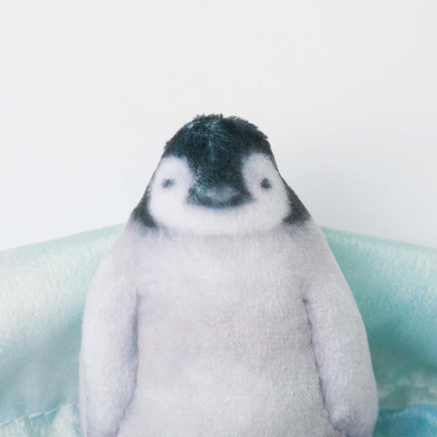 YOU+MORE!|YOU+MORE!　ギュッと集まってあったまるペンギンきんちゃくの会|つぶらな瞳がかわいい！