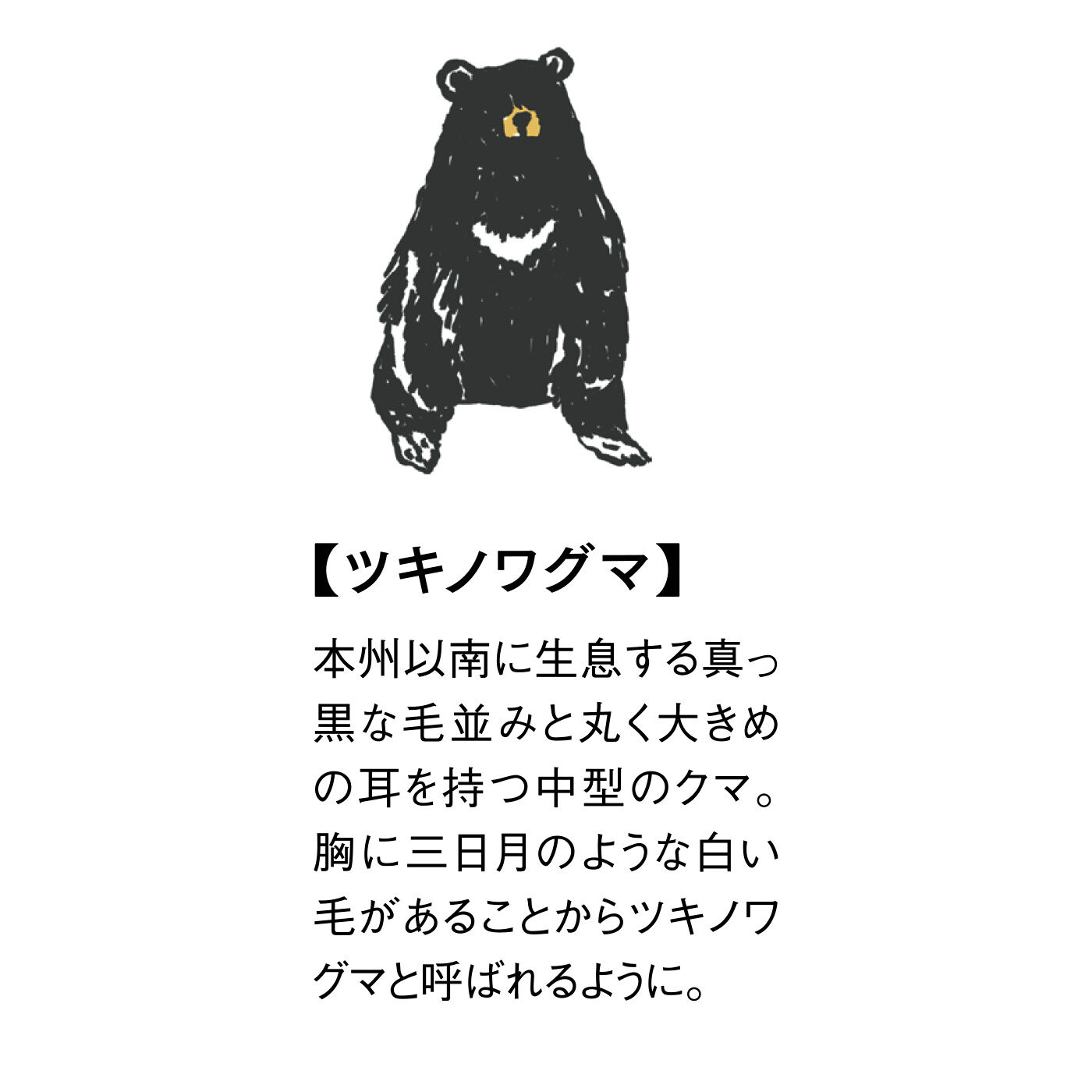 YOU+MORE!|YOU＋MORE!　春が来るまで冬眠しよう ツキノワグマのぬくぬくルームウェア〈グレー〉