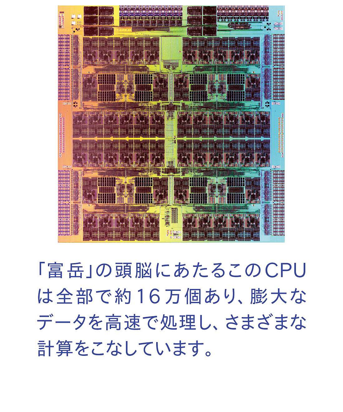 YOU+MORE!|YOU＋MORE!　スーパーコンピュータ「富岳」CPUコンパクトミラーピルケース