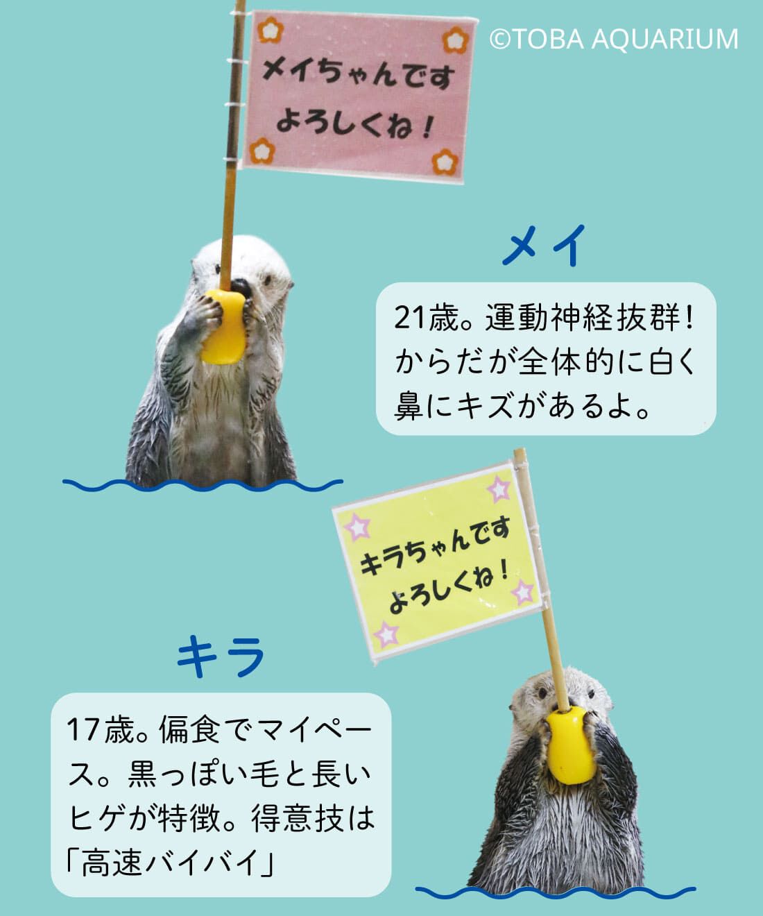 YOU+MORE!|YOU＋MORE!　おなかをなでなで　ラッコのぶらーんタオル〈メイちゃん〉