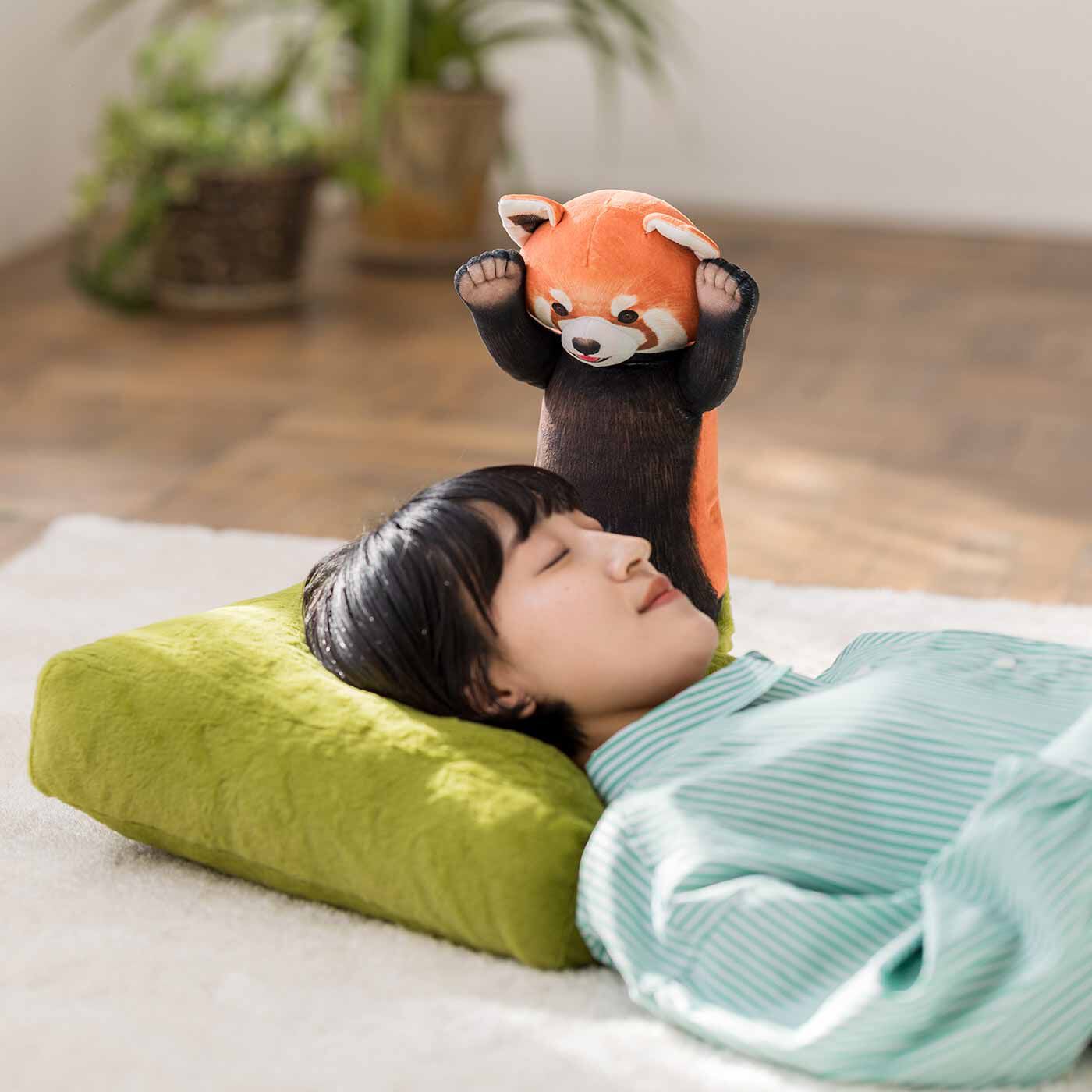 YOU+MORE!|YOU+MORE!　レッサーパンダに威嚇される お昼寝クッション