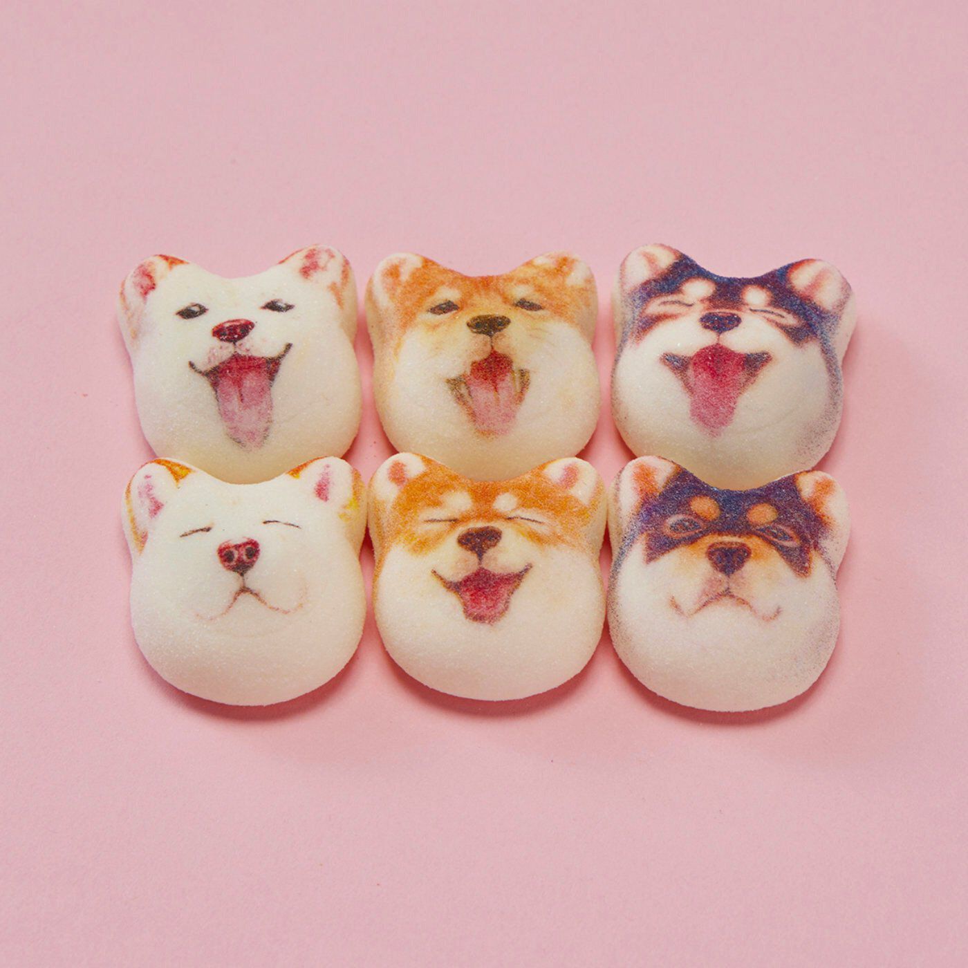 YOU+MORE!|YOU+MORE!　食べられないかわいさミニ和風マシュマロ柴犬ほうずい〈チョコ餡〉15個入り