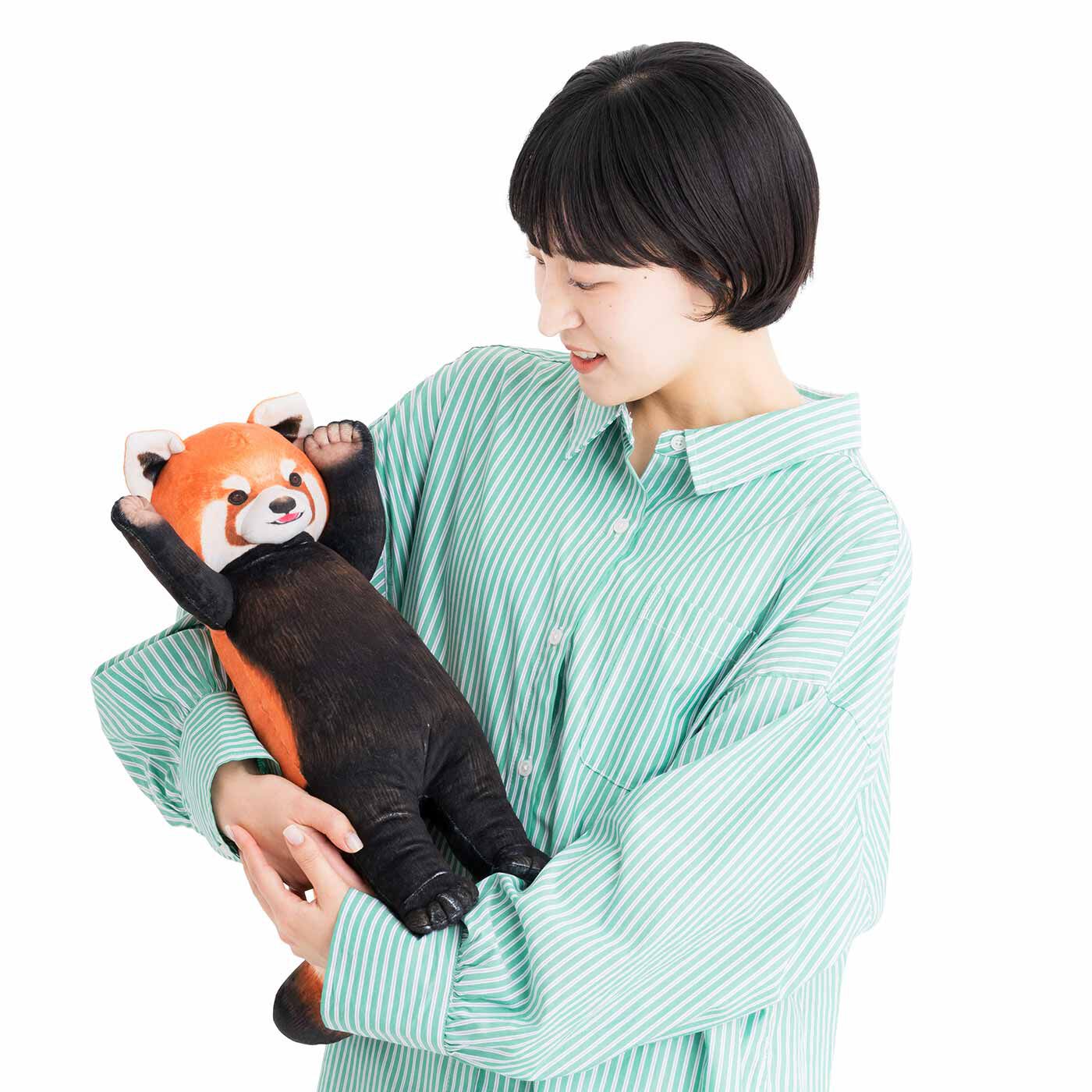 YOU+MORE!|YOU+MORE!　レッサーパンダに威嚇される お昼寝クッション