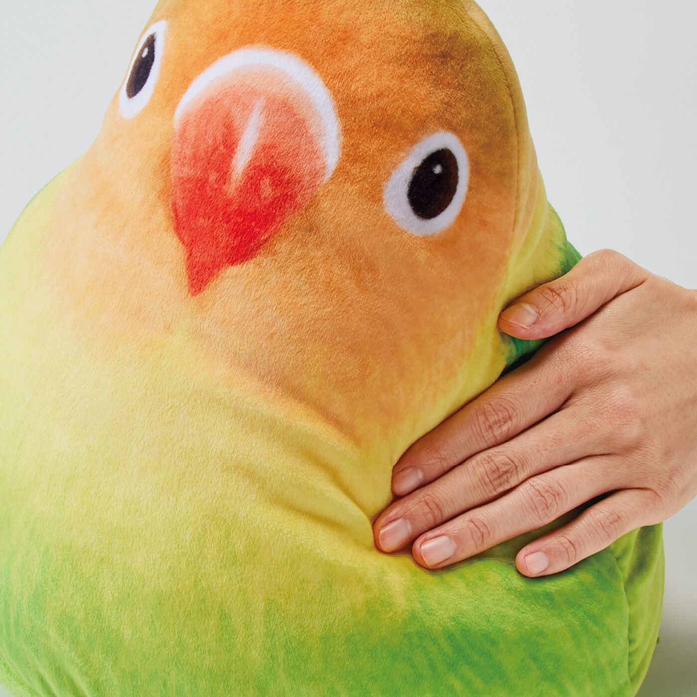 YOU+MORE!|YOU＋MORE!×小鳥部　もっちりかわいい　ふっくらインコクッションの会|おもちみたいにふっくらもちもちのさわり心地。