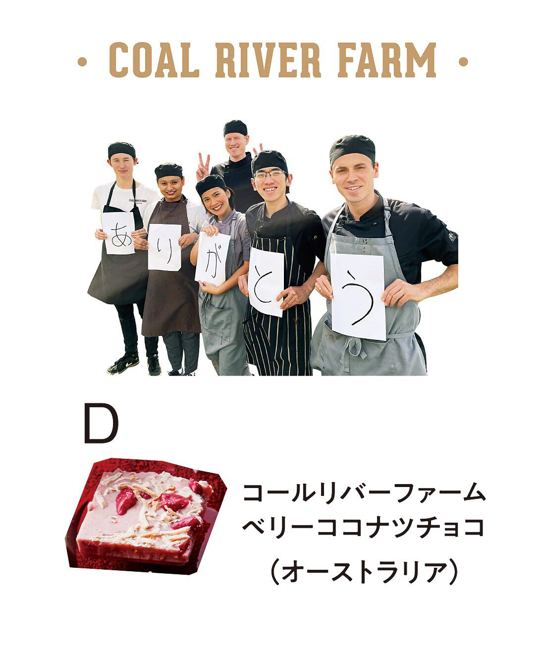幸福のチョコレート|幸福のチョコレート講座　試食チョコセット（９粒入り）〈人気定番コース〉|※商品の色や形が変更になる場合があります。