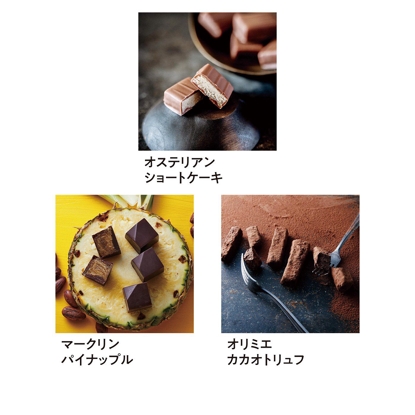 幸福のチョコレート|幸福のチョコレート講座　試食チョコセット（９粒入り）〈人気定番コース〉|※商品の色や形が変更になる場合があります。