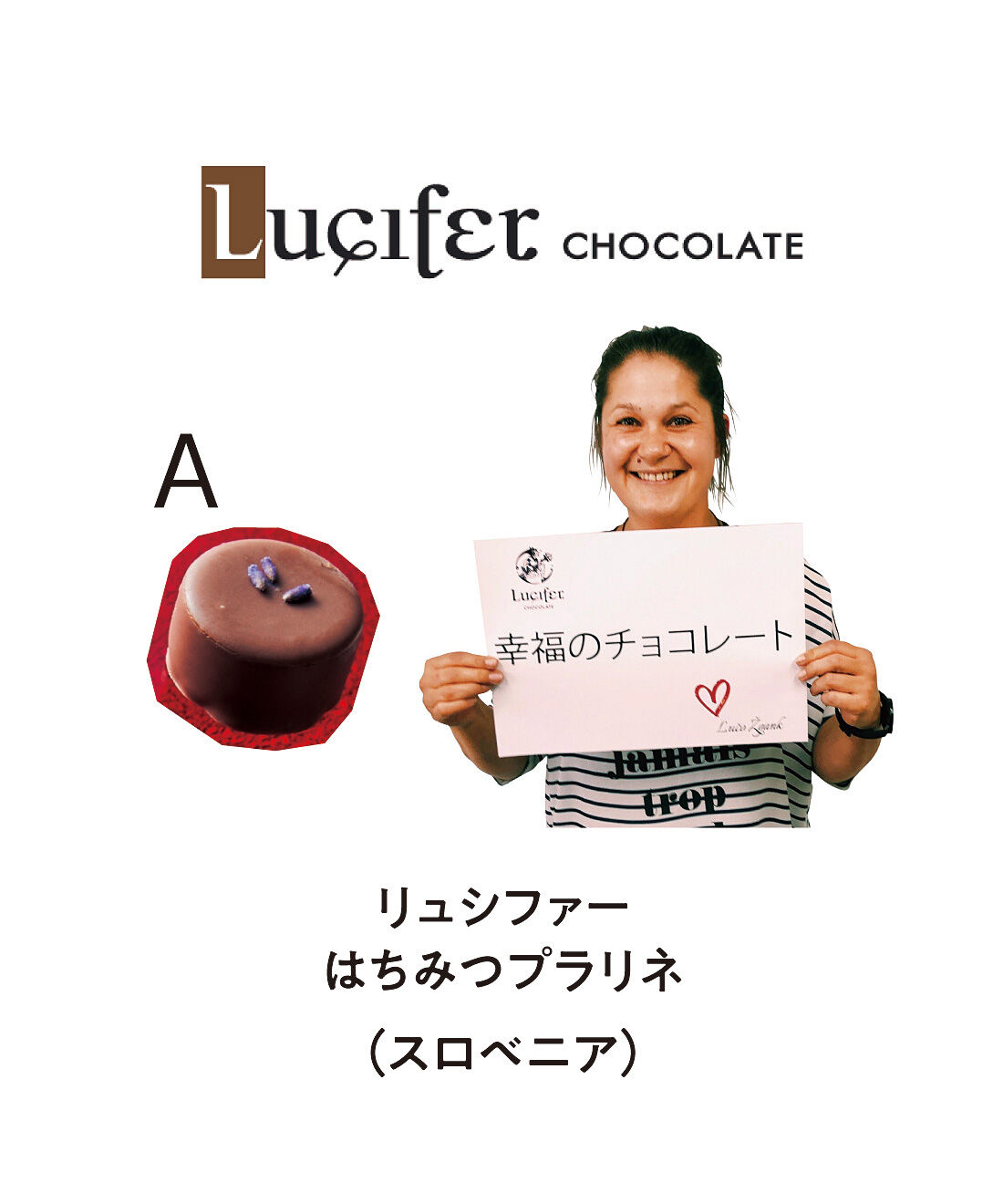 幸福のチョコレート|幸福のチョコレート講座　試食チョコセット（９粒入り）〈人気定番コース〉|※商品の色や形が変更になる場合があります。