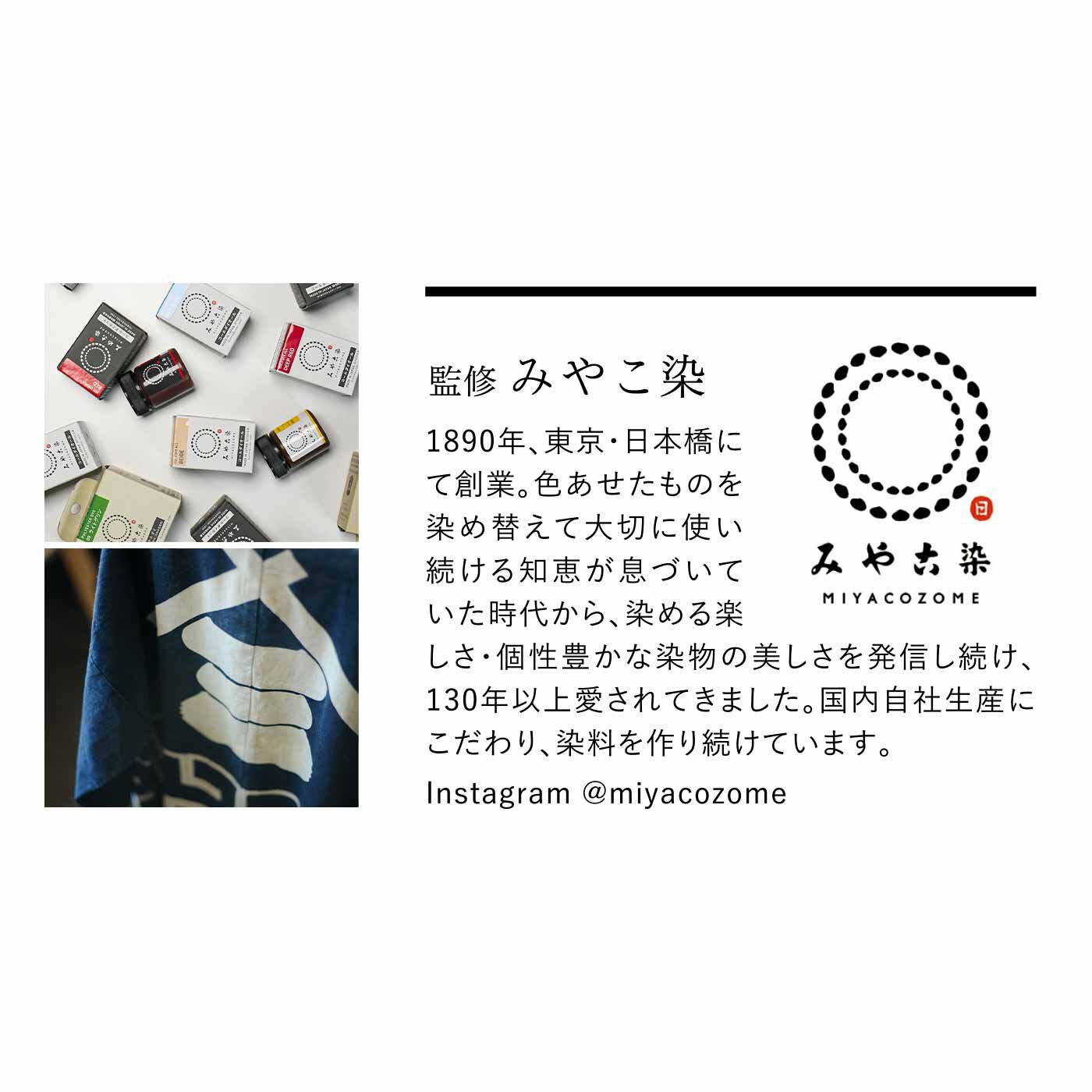 SeeMONO|一期一会の仕上がり アレンジも楽しい 手ぬぐい手染めキットの会
