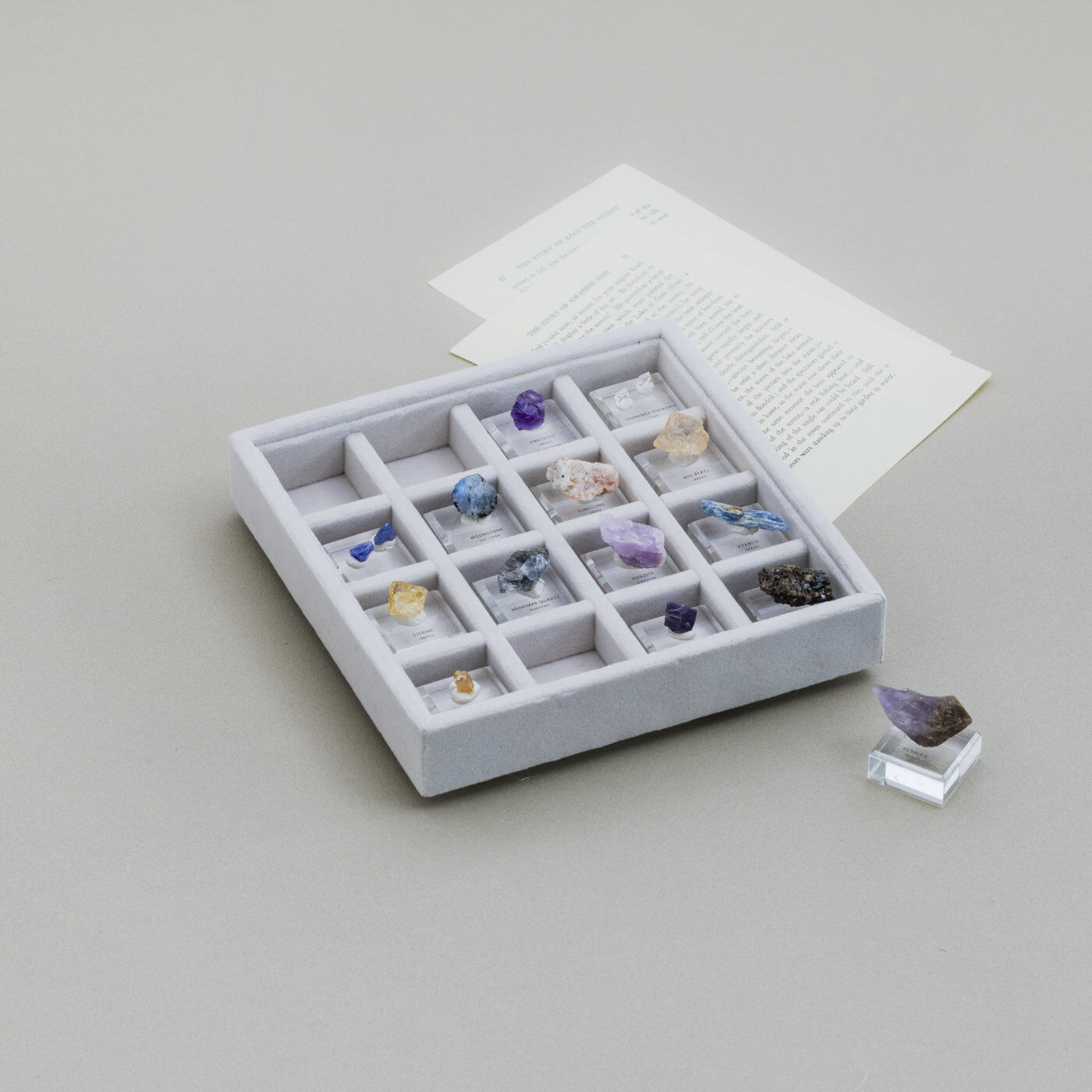SeeMONO|鉱物蒐集にぴったりな コレクションケース〈小〉