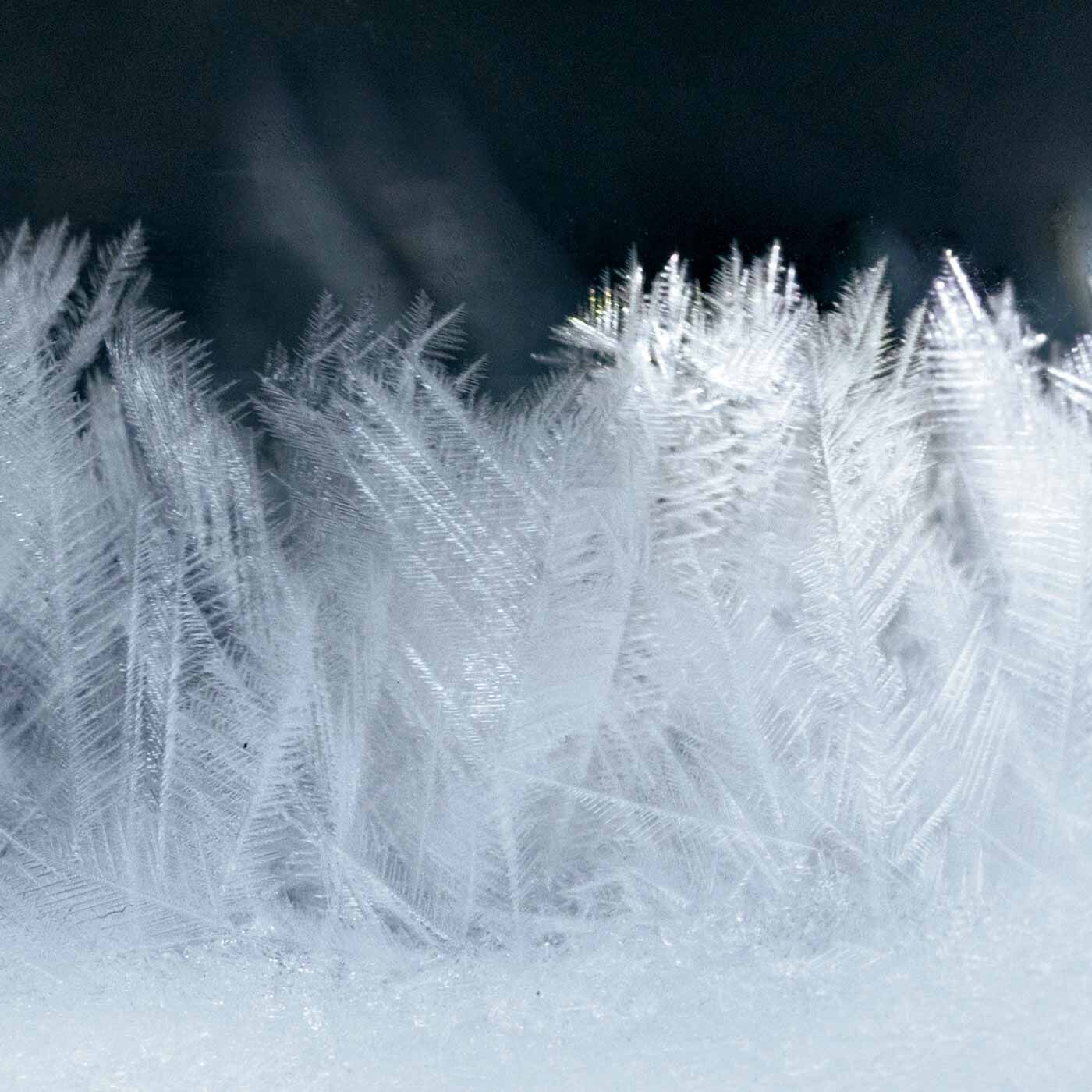 SeeMONO|ふわふわ寄り添う三兄弟 雪の妖精シマエナガのストームグラスの会|ふわふわの羽毛のような結晶。日ごとの変化も楽しみに。