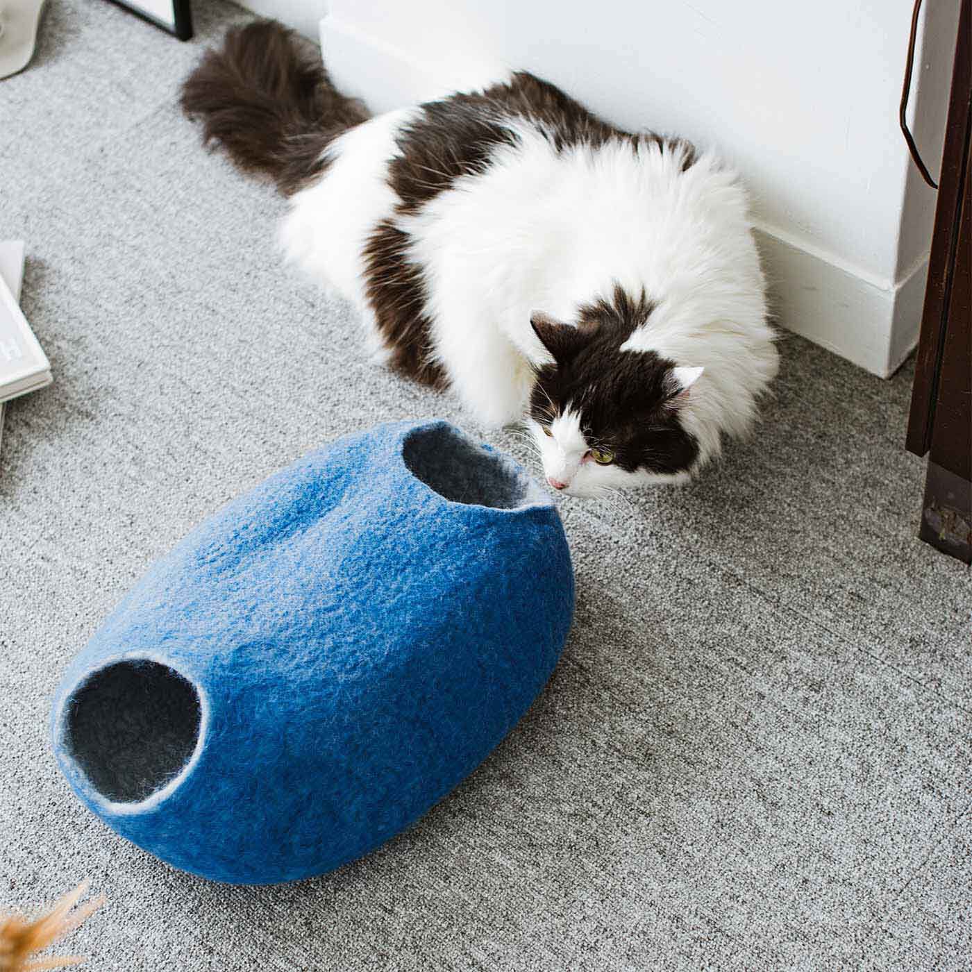 SeeMONO[シーモノ］|【初回お試し】猫のいる暮らしを楽しむ フェルティングキットの会|モデル：コテツ（♂）7kg