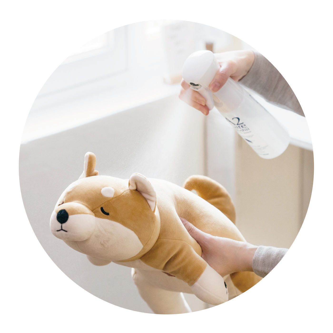 FELISSIMO PARTNERS|使う　感じる　変わる　無色無臭の消臭除菌ミストＡ２ケア　100mlスプレータイプ　２本セット