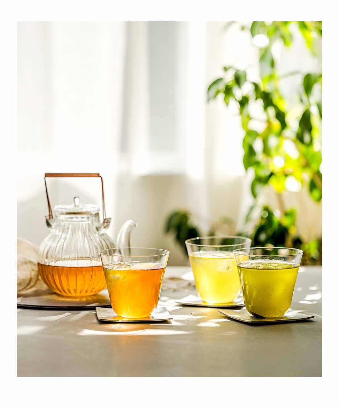FELISSIMO PARTNERS|茶のみ仲間 袋茶で楽しむ日本のお茶紀行の会（12回予約）