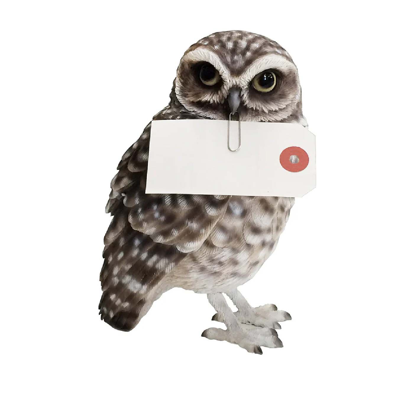 FELISSIMO PARTNERS|本物そっくりなメッセージバード〈アナホリフクロウ〉|くちばしの下にマグネットがついています。メモを挟んだクリップをくっつけてメッセージバードの代わりに！！