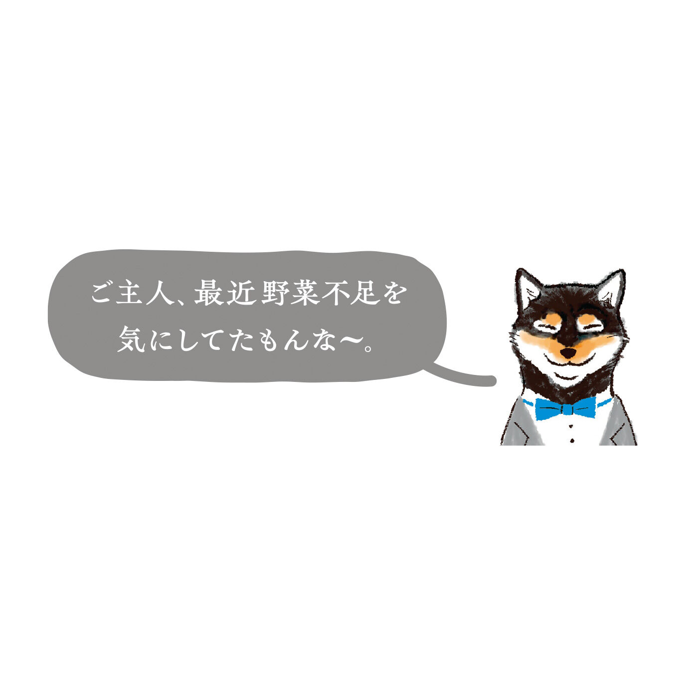 FELISSIMO PARTNERS|純農 素材がごちそう！ 食感豊かな国産野菜スナック やさいぽりぽりの会（12回予約）