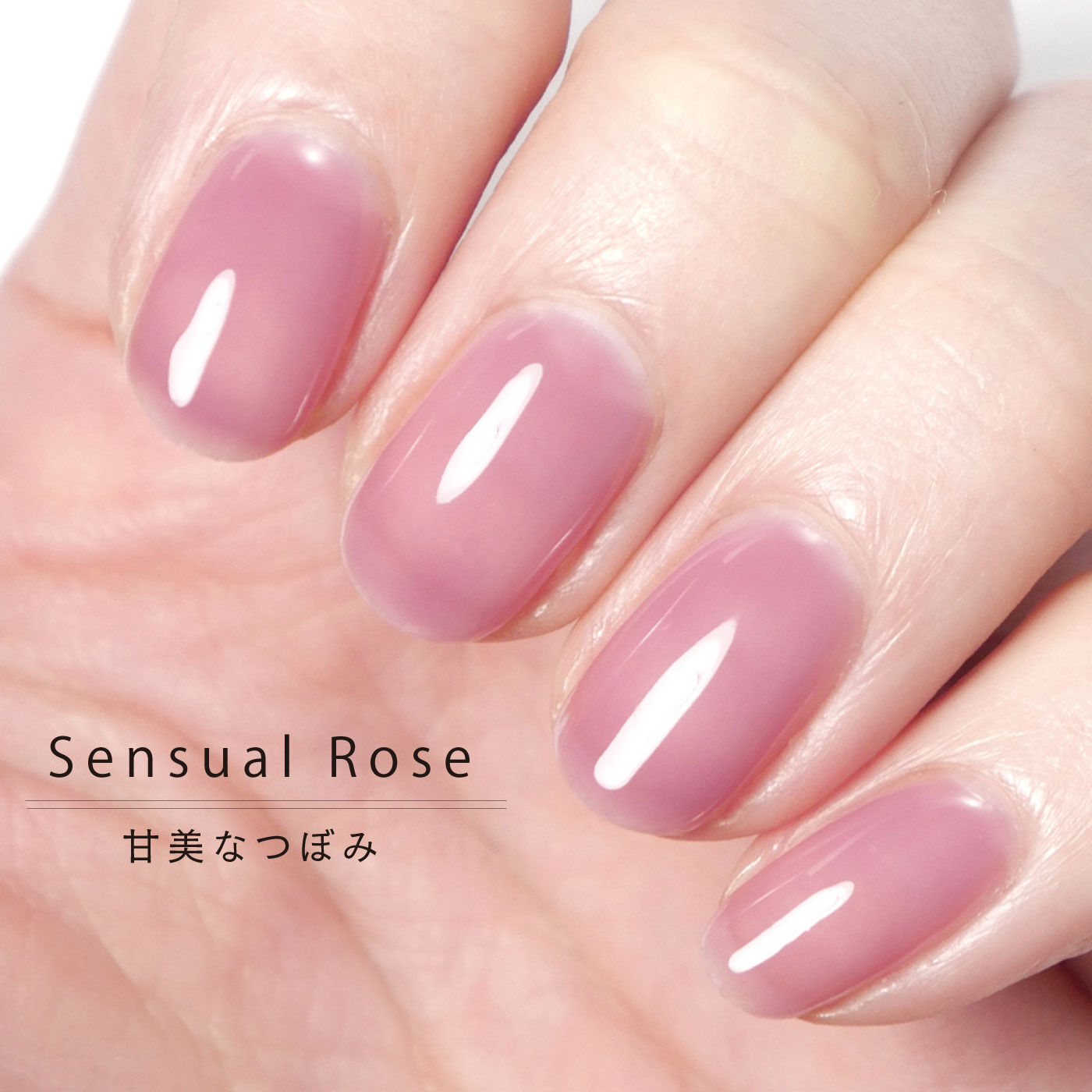 FELISSIMO PARTNERS|ＨＯＭＥＩ　ぺりっとはがせるウィークリージェル「甘美なつぼみ」Ｓｅｎｓｕａｌ　Ｒｏｓｅ〈センシュアルローズ〉