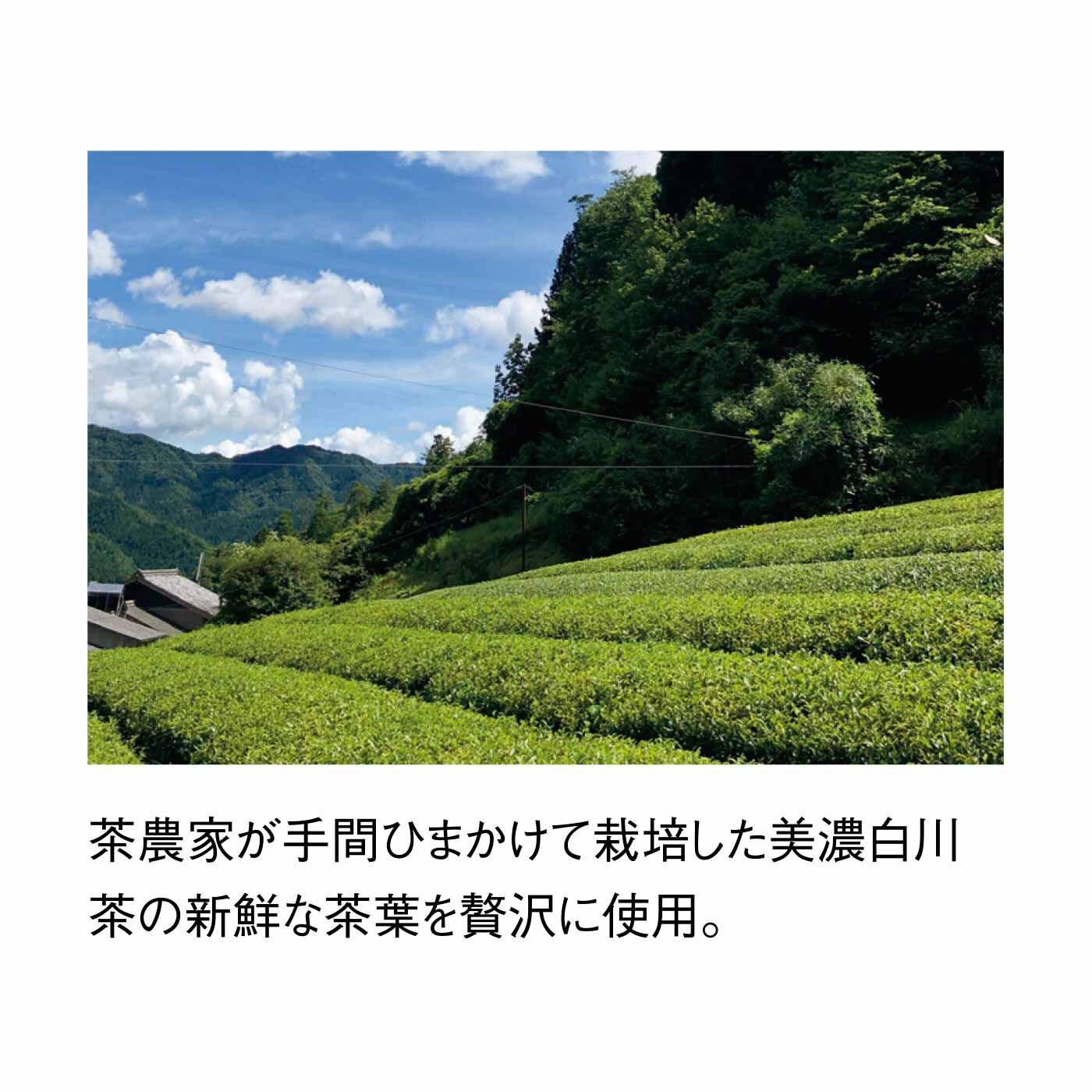 FELISSIMO PARTNERS|原料は緑茶のみ 割る緑茶の会（4回予約）