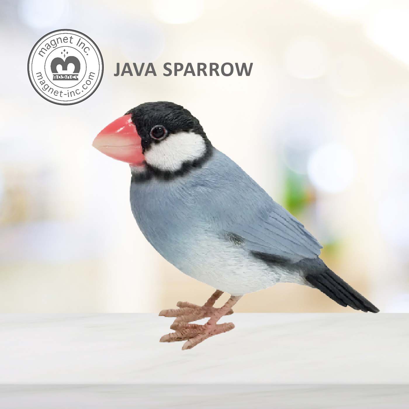 FELISSIMO PARTNERS|本物そっくりなメッセージバード〈ブンチョウ〉