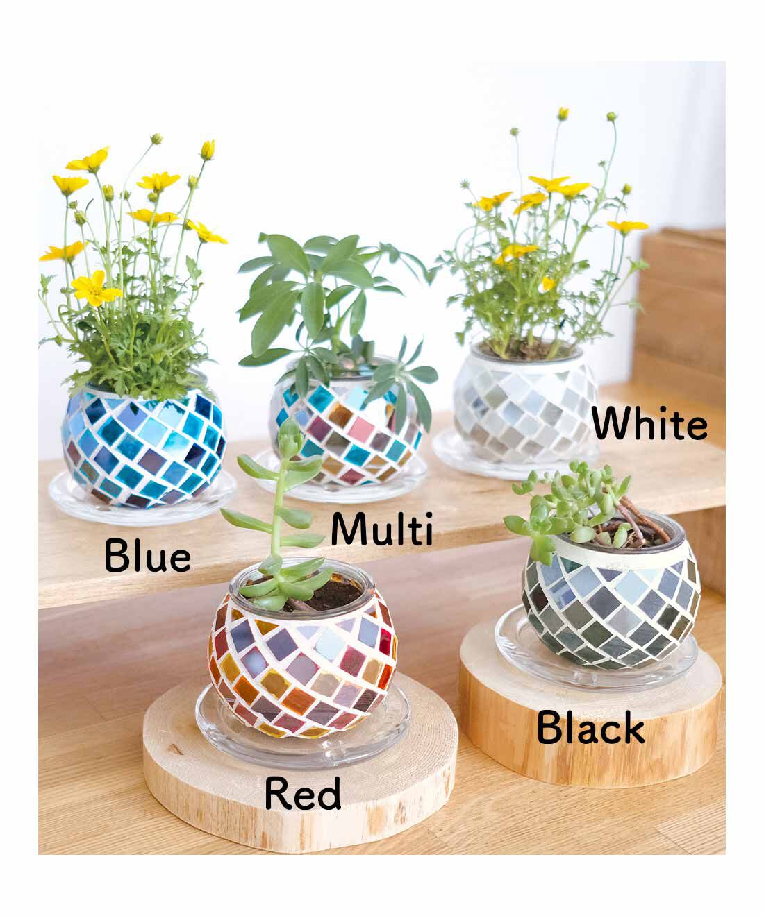 FELISSIMO PARTNERS|ころんとかわいい 太陽の光を感じる モザイクガラスの丸型ポットの会（5回予約）|ポットの底には水抜き穴付き。鉢カバーとしても使用できます。