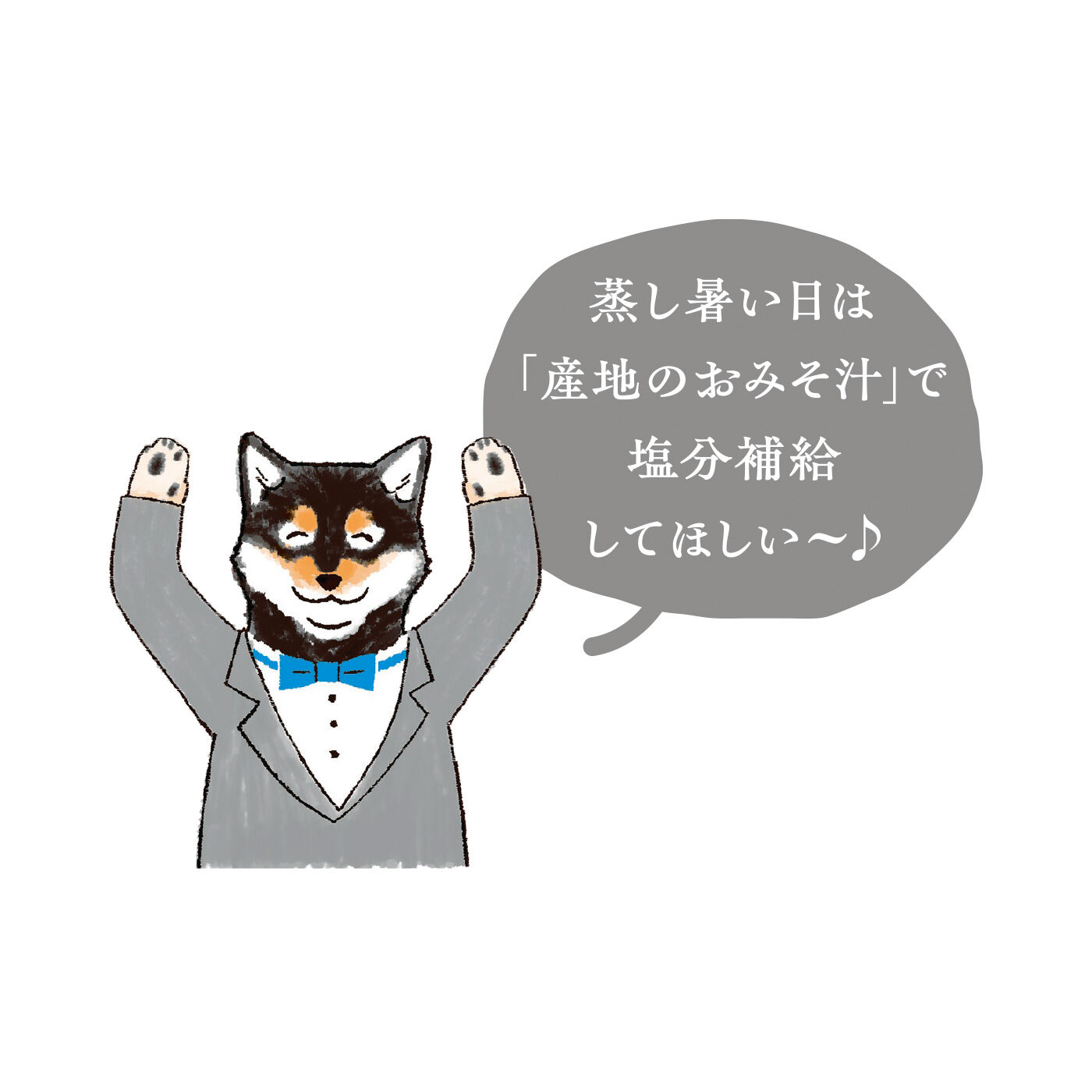 FELISSIMO PARTNERS|純農 お湯だけ簡単！ にっぽん津々浦々で愛される 産地のみそ汁めぐりアソート［たっぷり60食］の会（12回予約）
