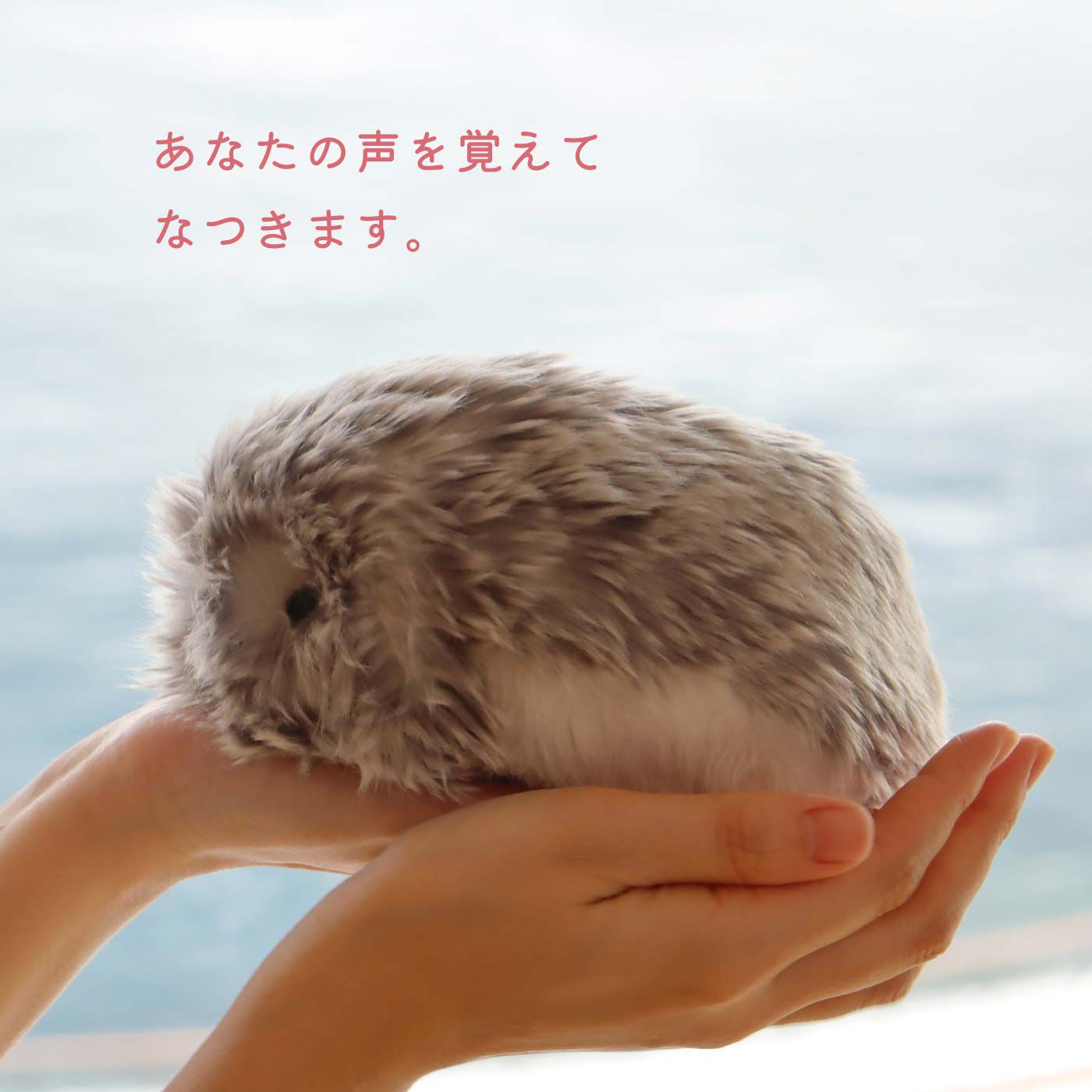 FELISSIMO PARTNERS|ＡＩペット〈コミュニケーションロボット〉　こころであういきものMoflin（モフリン）