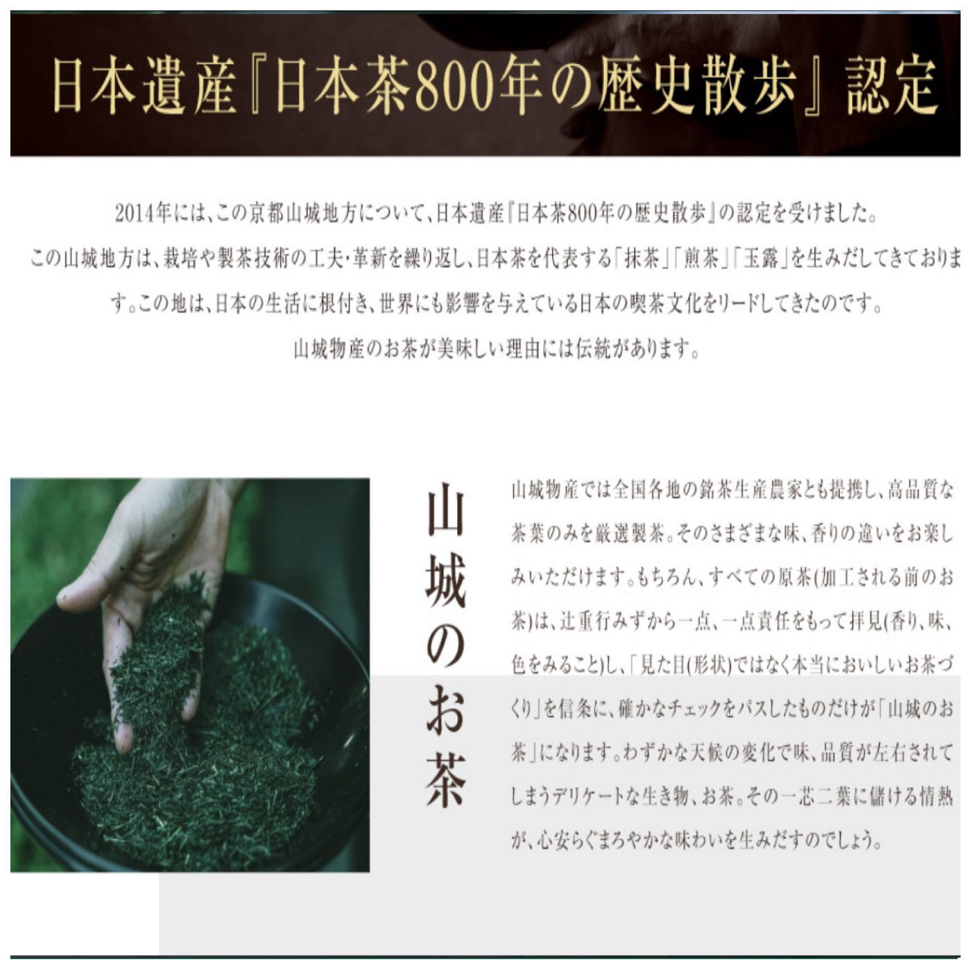 FELISSIMO PARTNERS|茶師 辻重行の一煎　粉末緑茶 1回分ずつ出せるオリジナルボトル付き