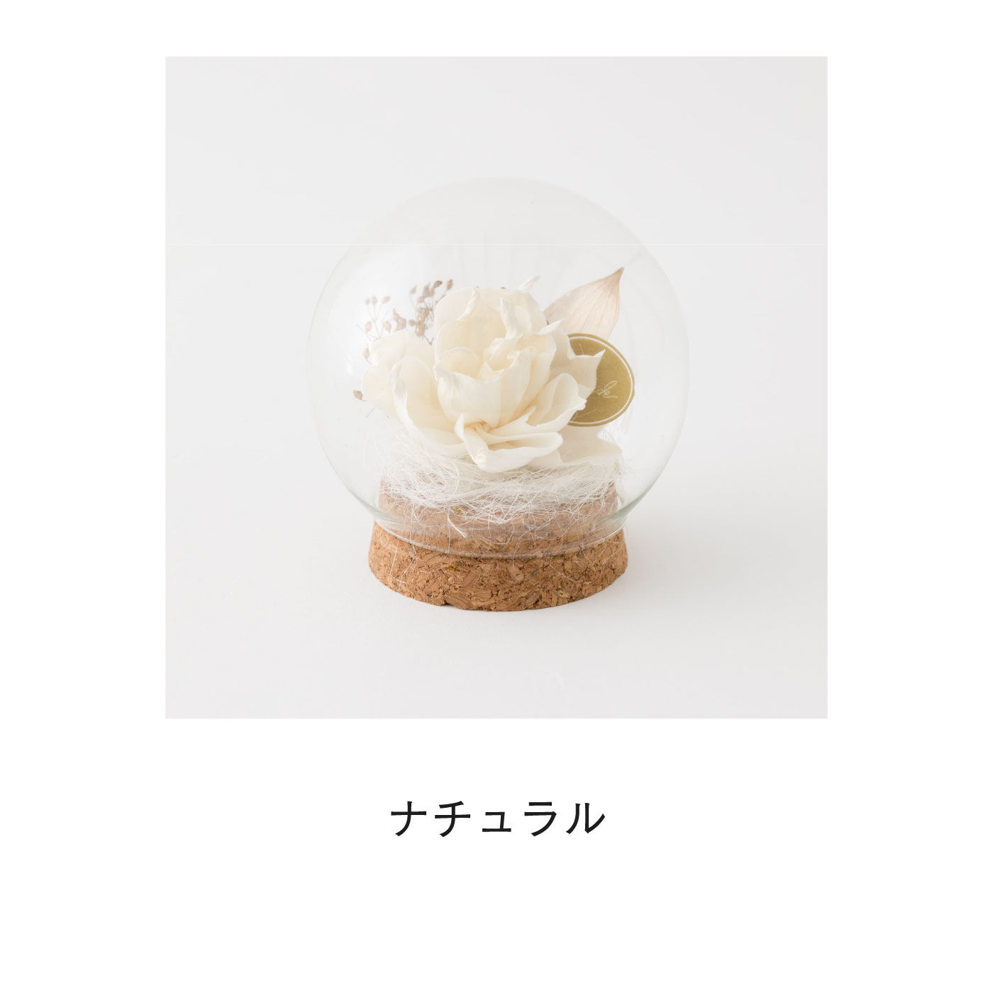 FELISSIMO PARTNERS|ガラスドームで可憐に咲く　ソラフラワーアレンジ