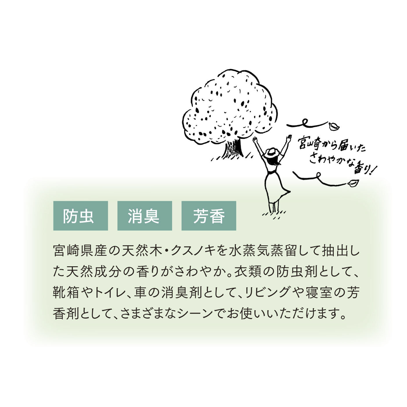 FELISSIMO PARTNERS|お部屋さわやか！　クスノキ　エッセンシャルオイル（30ｍｌ）の会