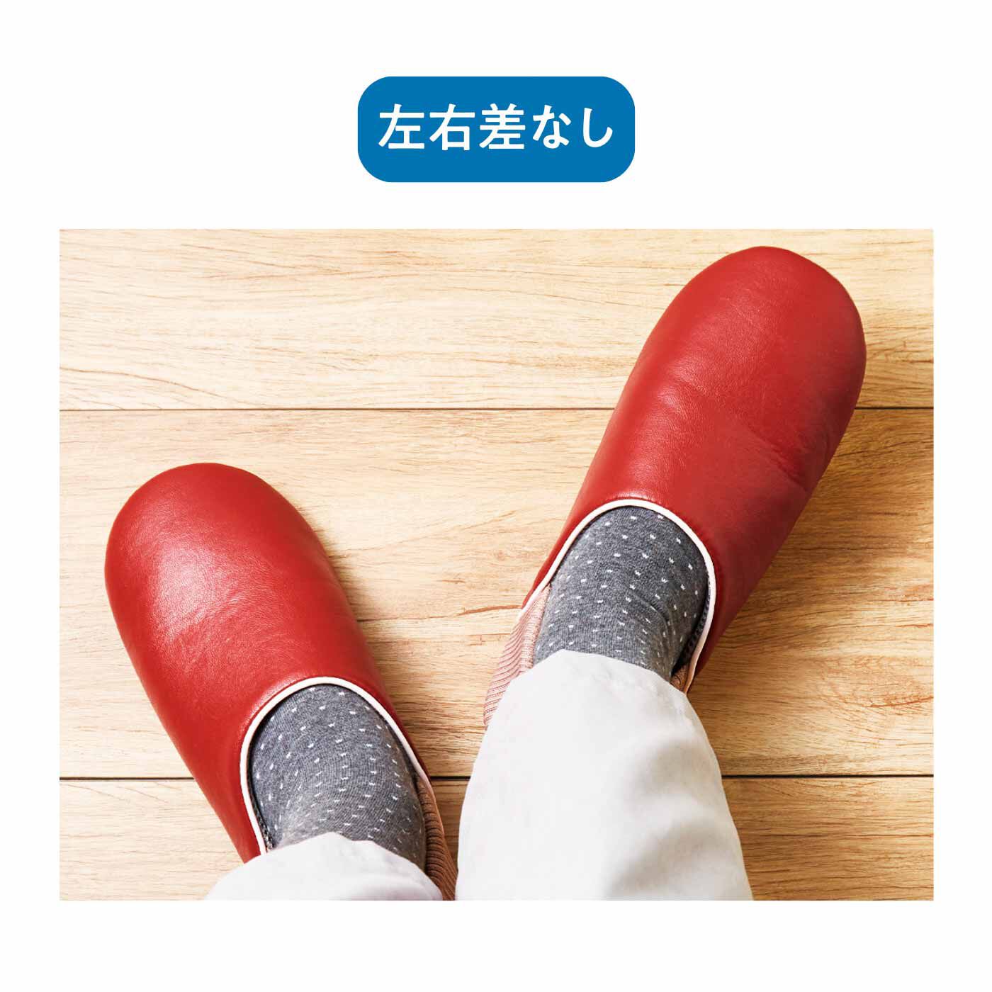FELISSIMO PARTNERS|ガラス片から足を守る ふだんもはける防活スリッパ