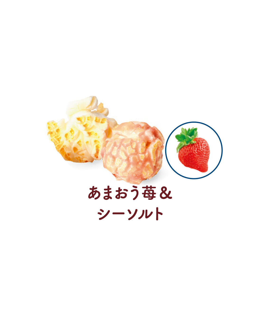 FELISSIMO PARTNERS|キャラメル派も塩派も大満足 大人のポップコーンの会（9回予約）