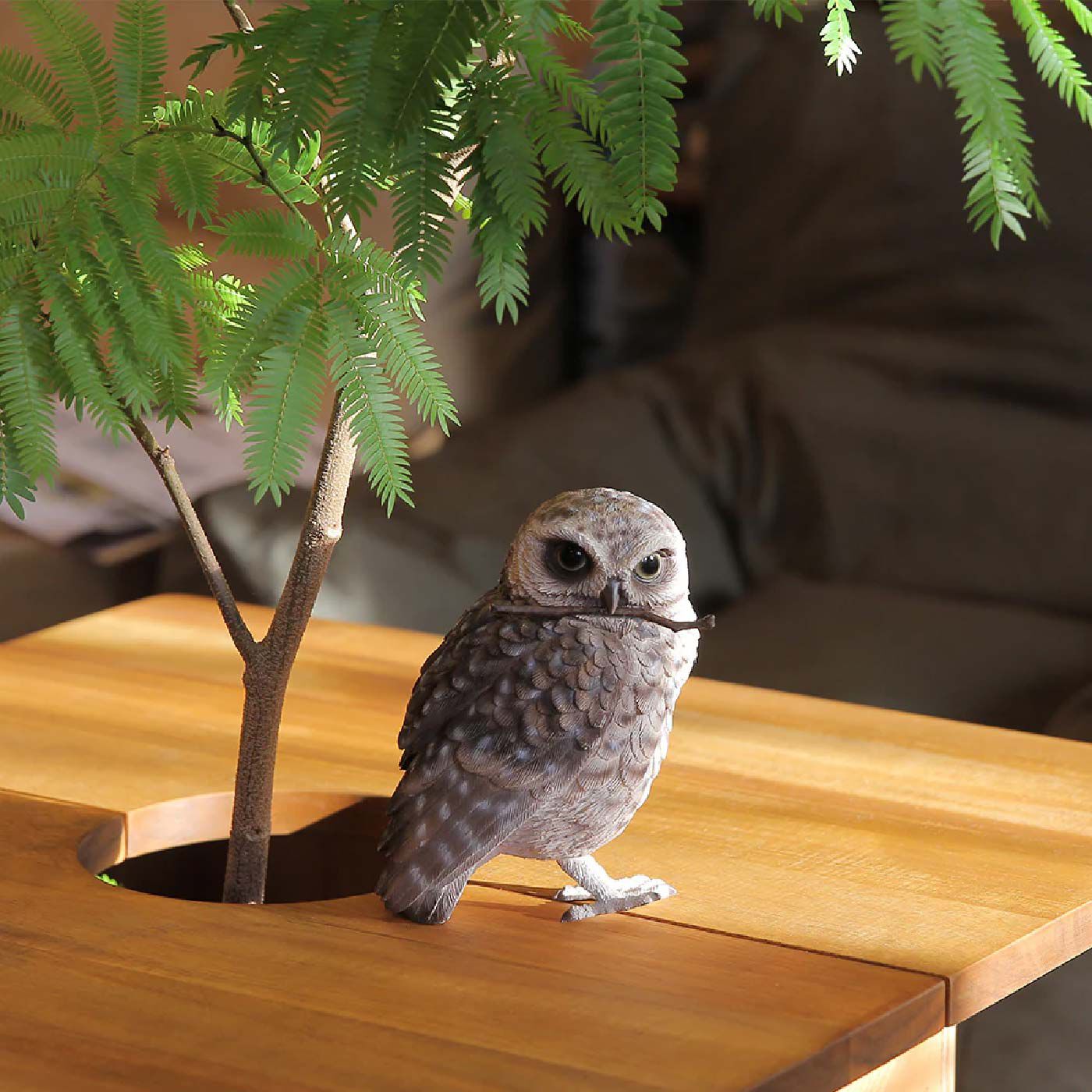 FELISSIMO PARTNERS|本物そっくりなメッセージバード〈アナホリフクロウ〉