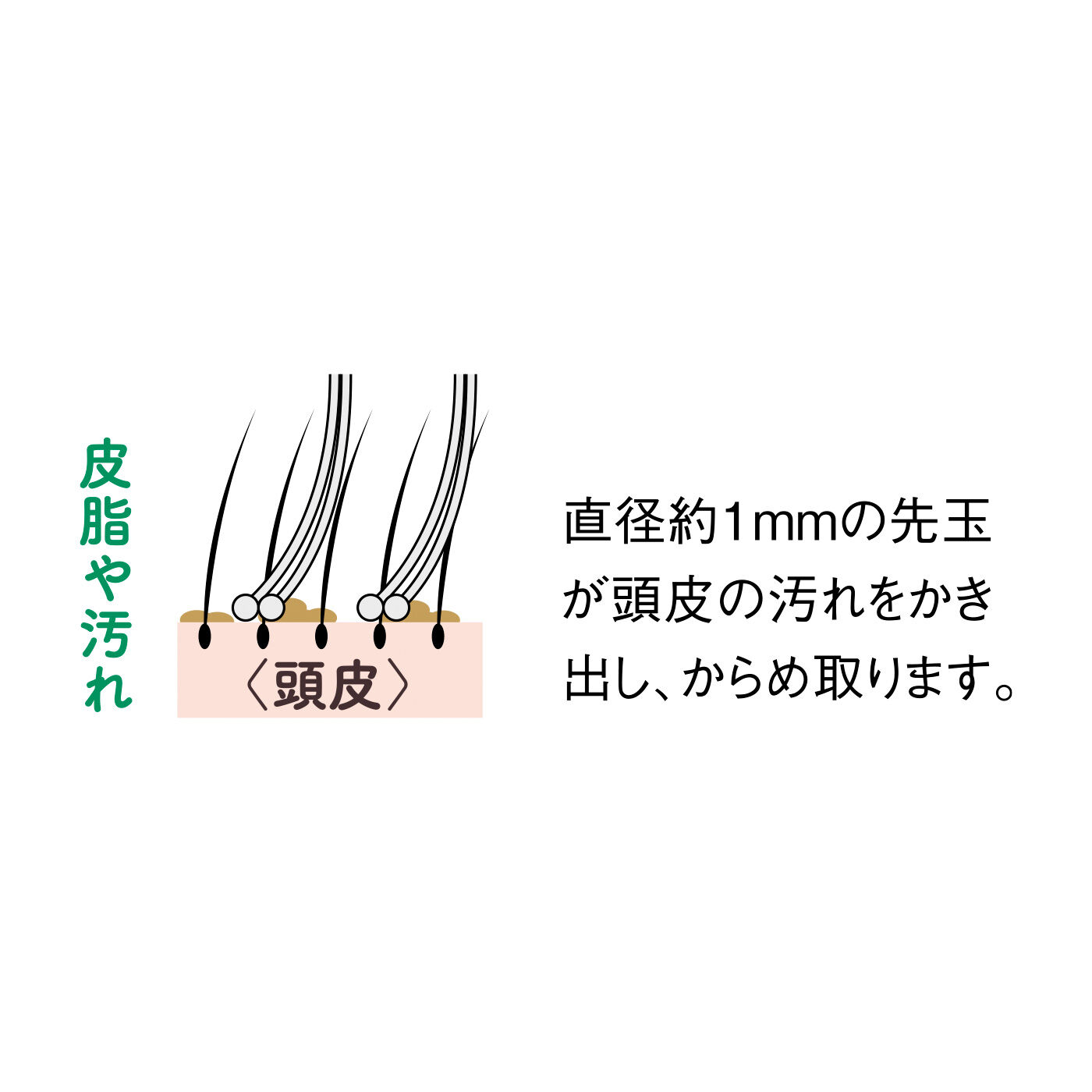 FELISSIMO PARTNERS|まるで美容師さんにシャンプーをされているような心地よさ AIRYCURE（エアリーキュア） スカルプリリースブラシ〈グランデ〉