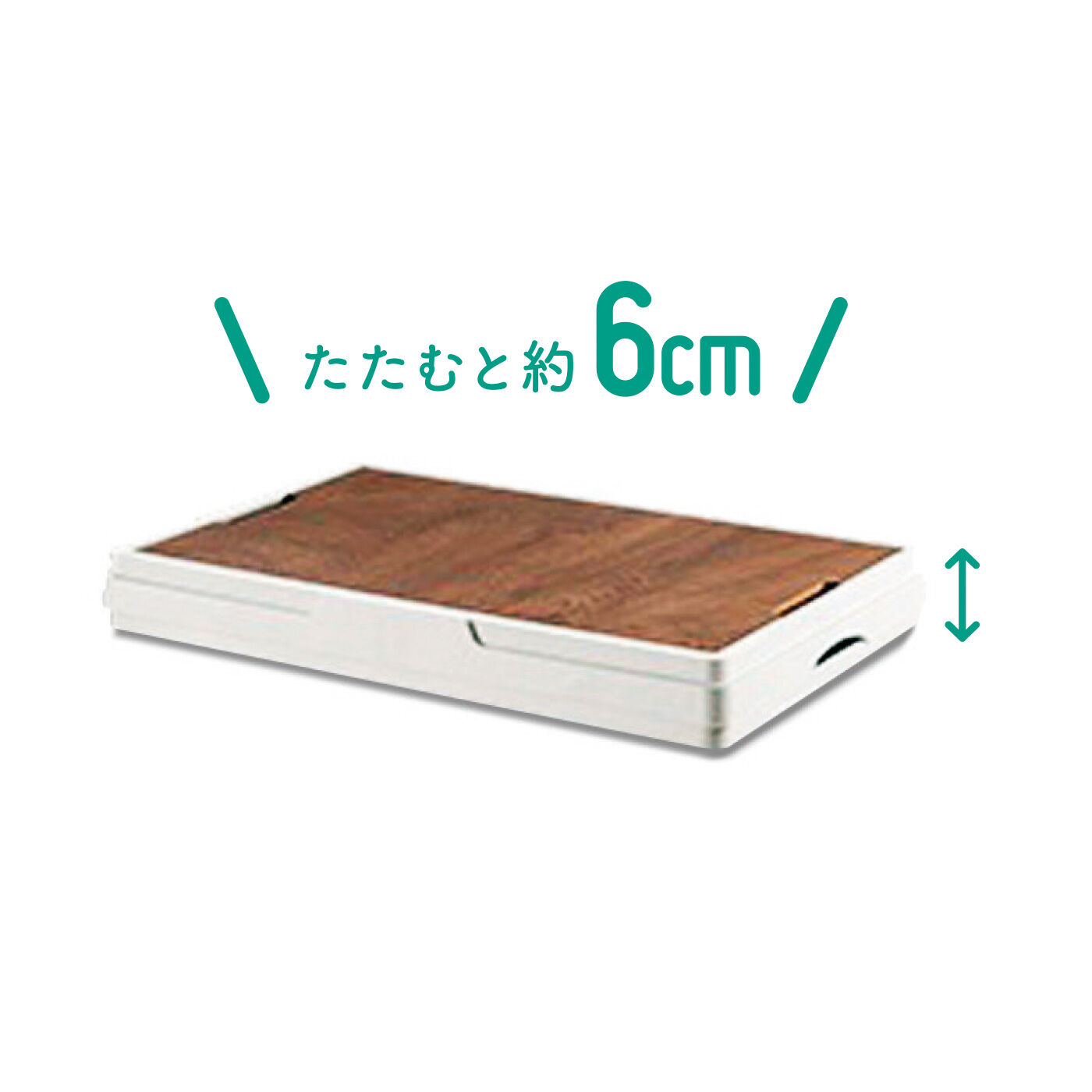 FELISSIMO PARTNERS|お買い物、収納、ピクニックなどに便利 おうちでも車でも使える 取っ手付き折りたたみできる 収納トラックボックスMサイズ〈ふた付き〉|折りたためばコンパクトに収納できます。