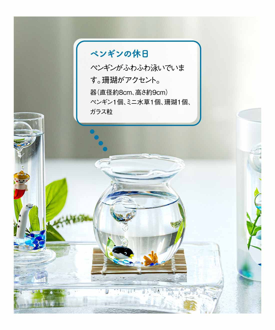 FELISSIMO PARTNERS|海の世界へ 涼しげなガラスのインテリアの会（4回予約）
