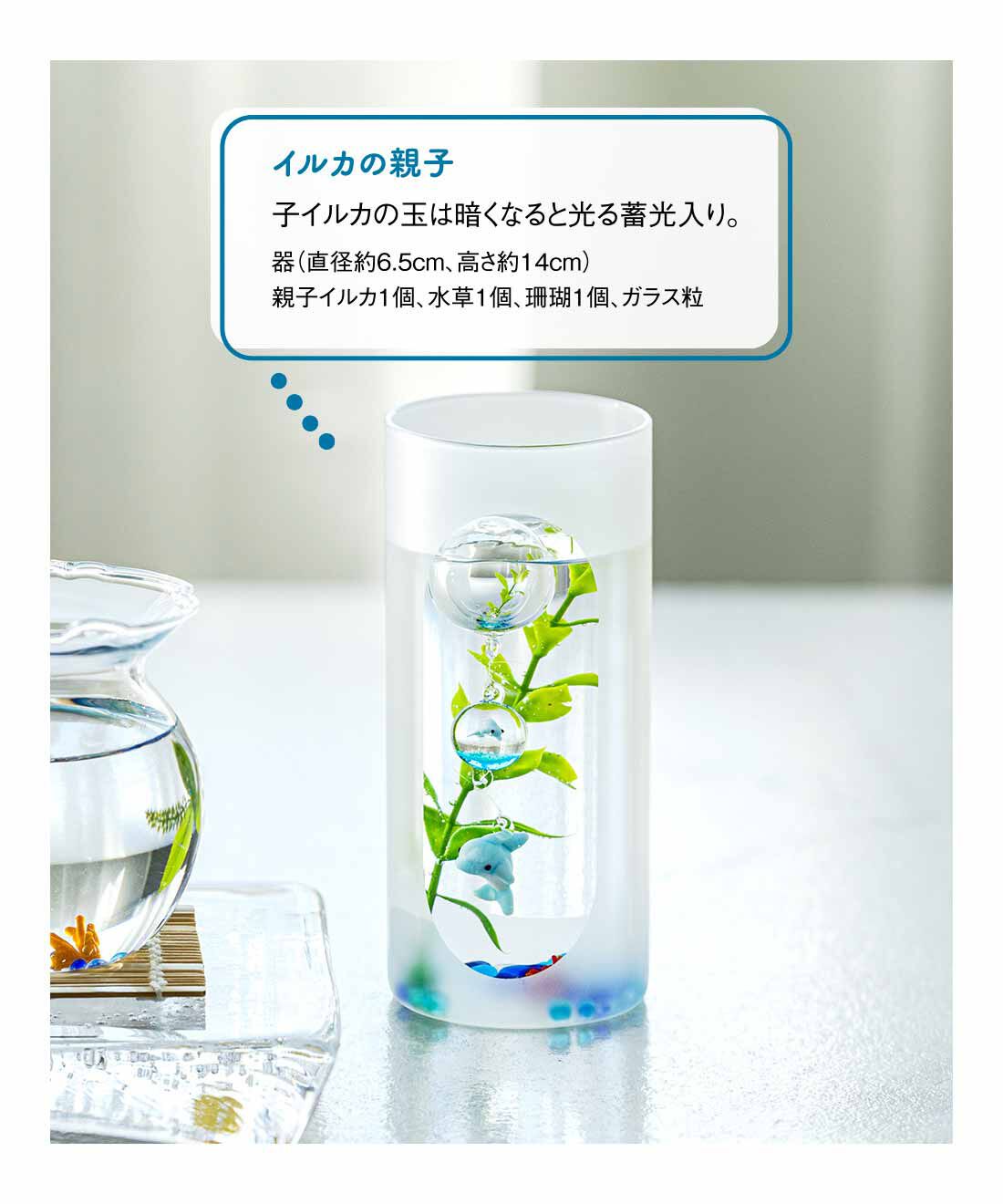 FELISSIMO PARTNERS|海の世界へ 涼しげなガラスのインテリアの会（4回予約）
