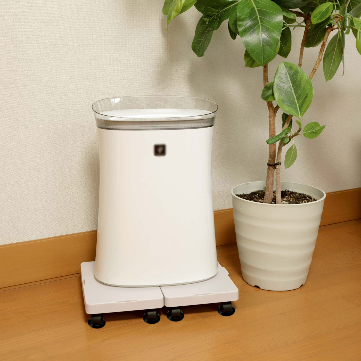 FELISSIMO PARTNERS|縦にも横にも！つながる平台車　楽くる（ラックル）|※2台横連結の使用イメージです。