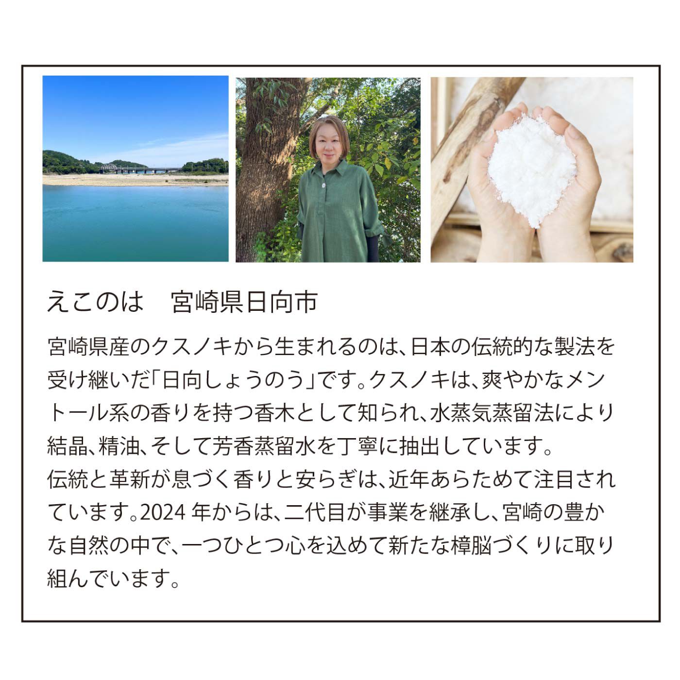 FELISSIMO PARTNERS|お部屋さわやか！　クスノキ　アロマチップ　420ｇの会