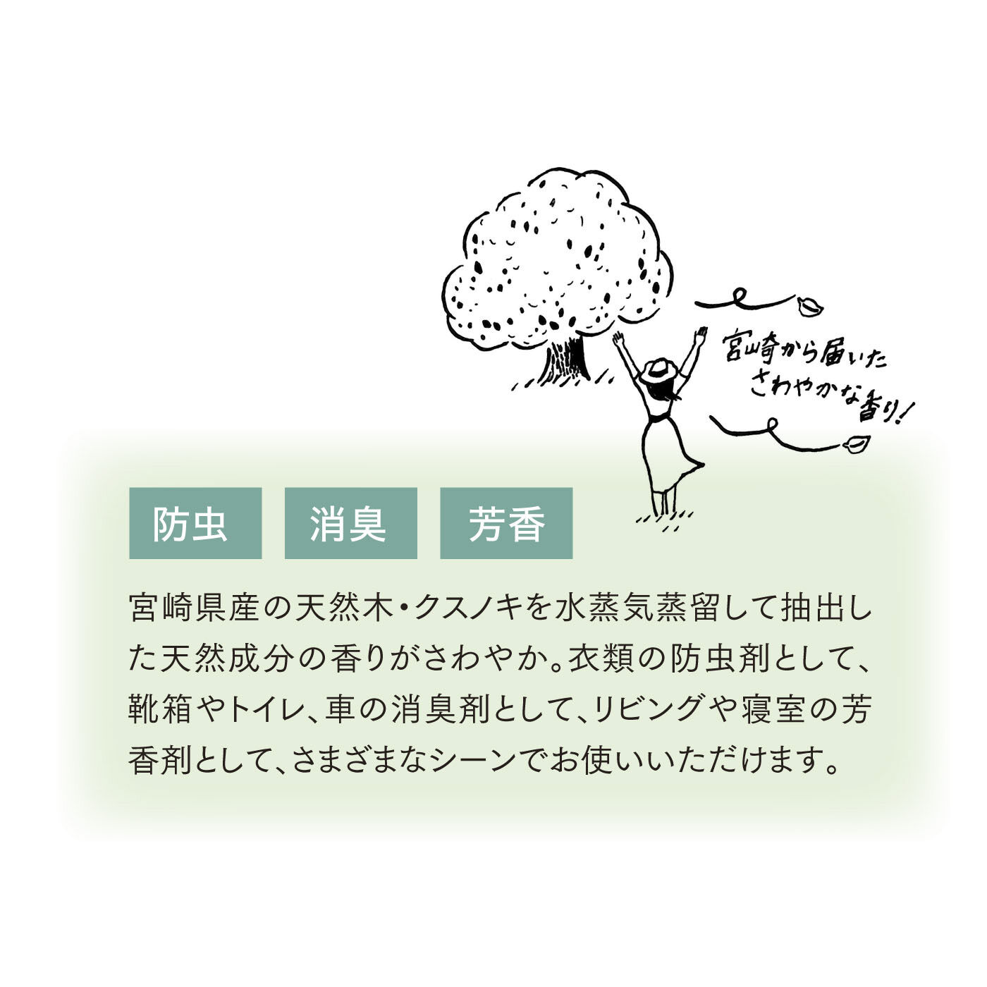 FELISSIMO PARTNERS|お部屋さわやか！　クスノキ　アロマチップ　420ｇの会