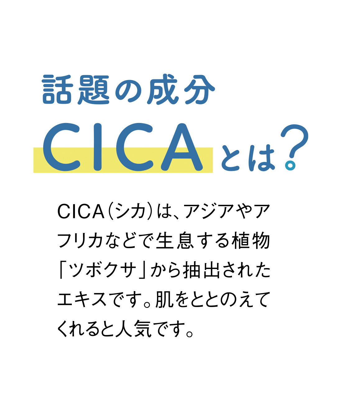 FELISSIMO PARTNERS|CICA（シカ）とうれしい成分が入った 無漂白コットン100％のフェイスシートマスクの会（12回予約）