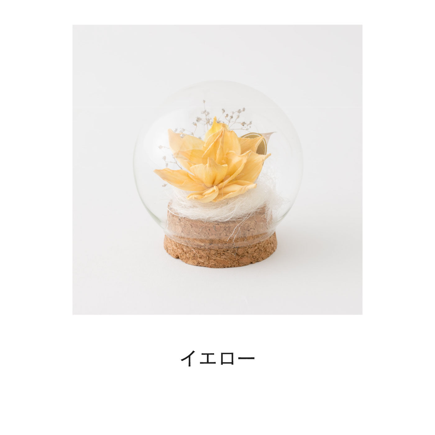 FELISSIMO PARTNERS|ガラスドームで可憐に咲く　ソラフラワーアレンジ